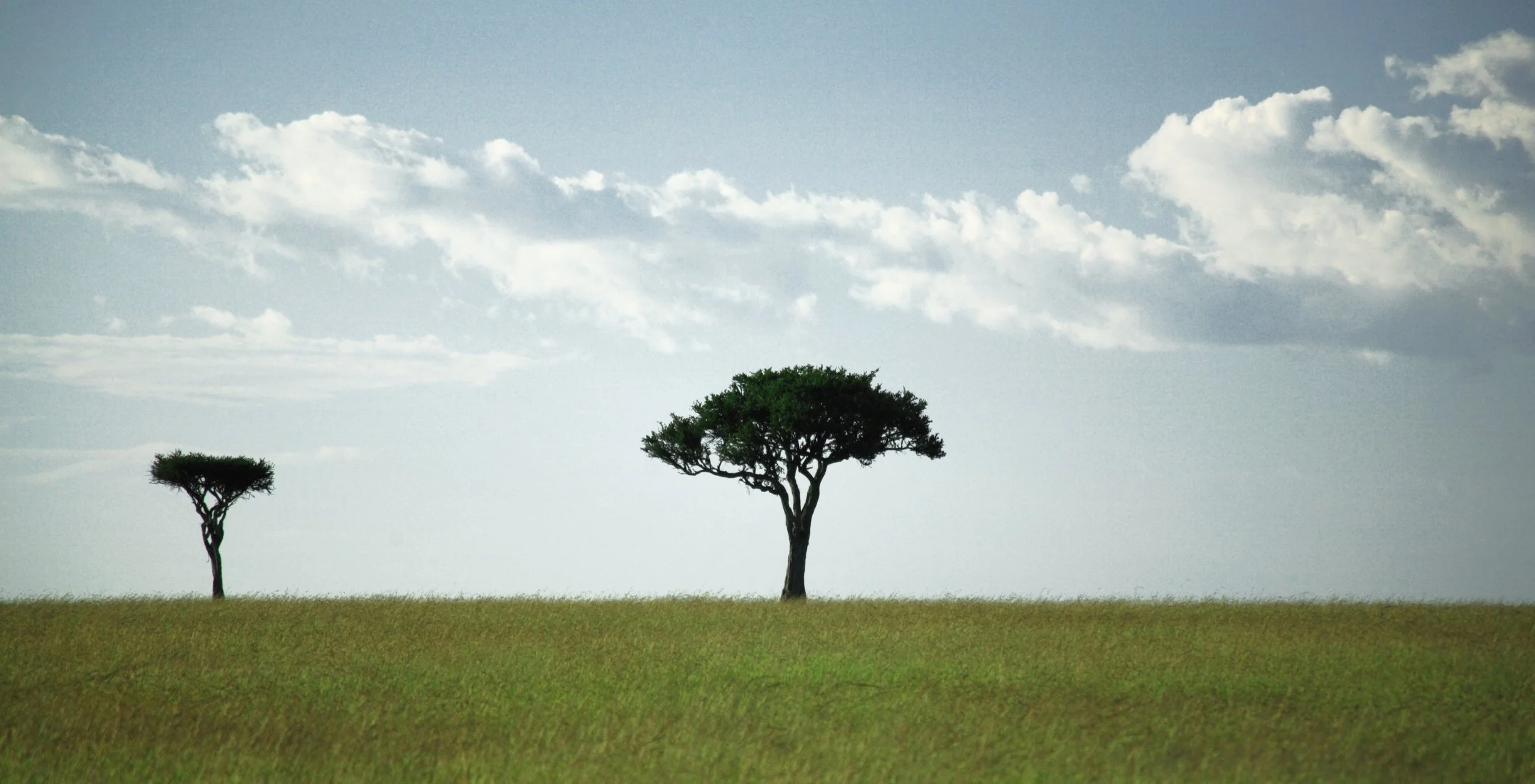 Why SWOT Isn’t Enough and How Comparative Analysis Actually Drives Growth