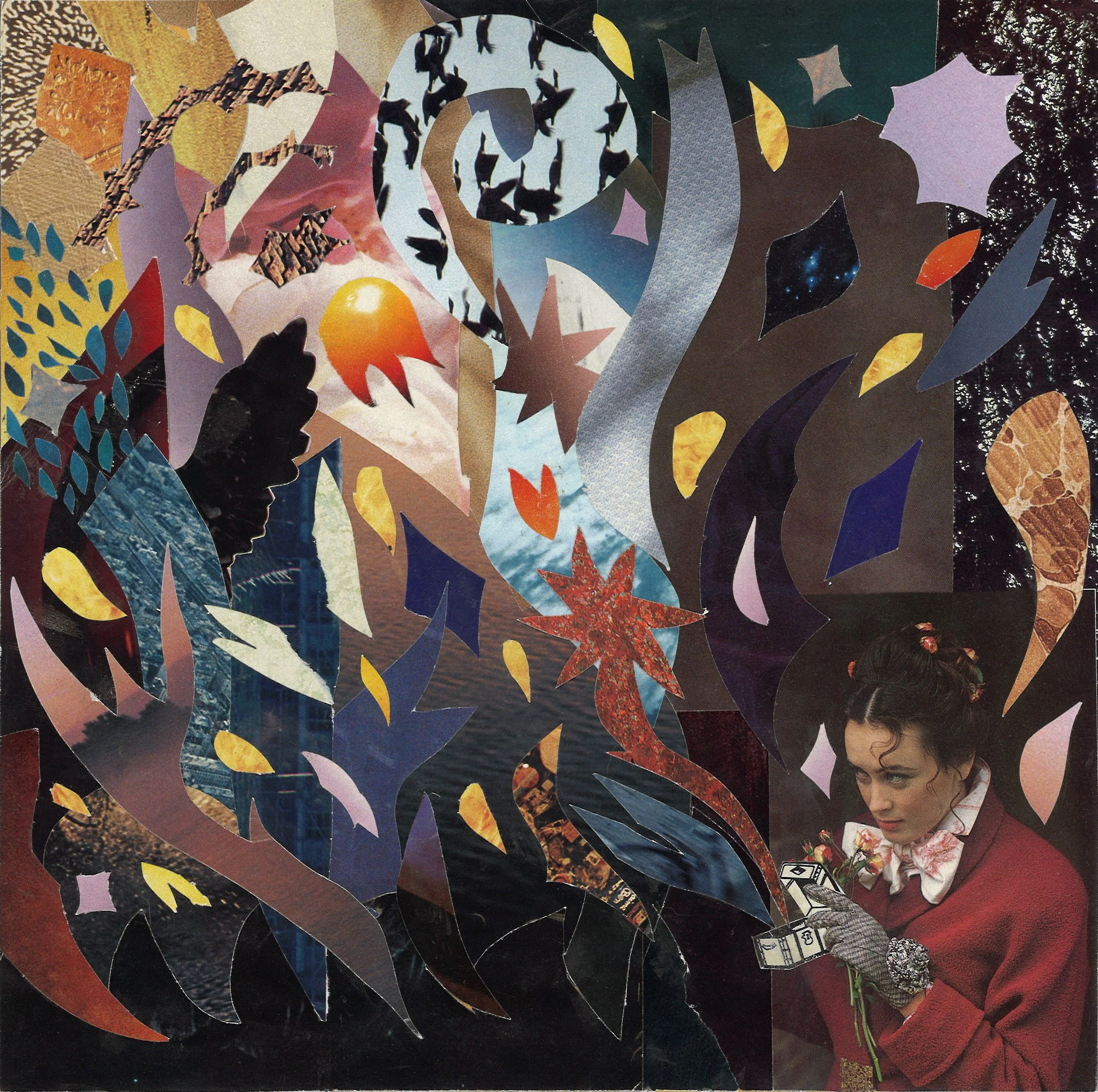 Mellowdrone CD & Vinyl