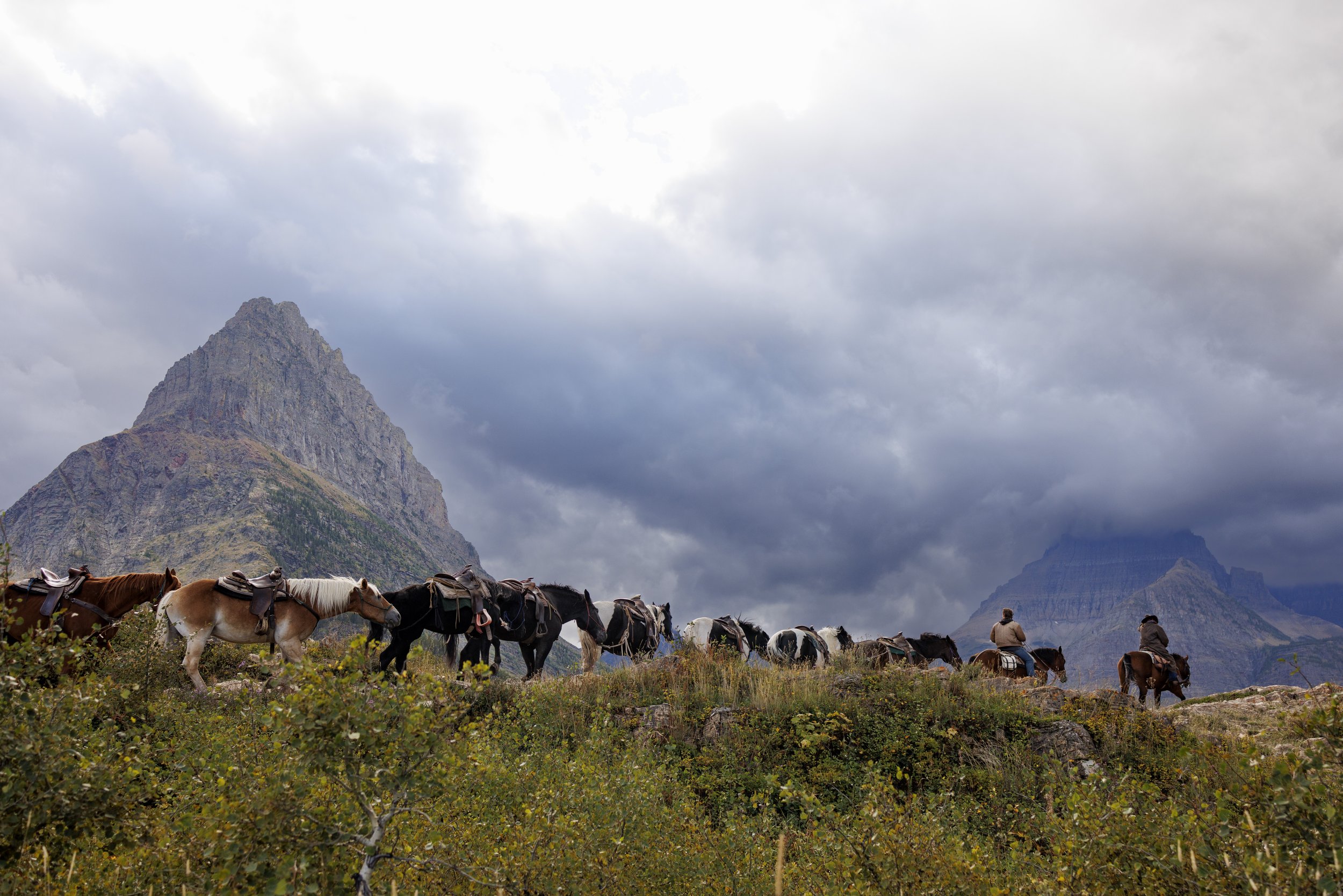 Horse Mountain, 2024