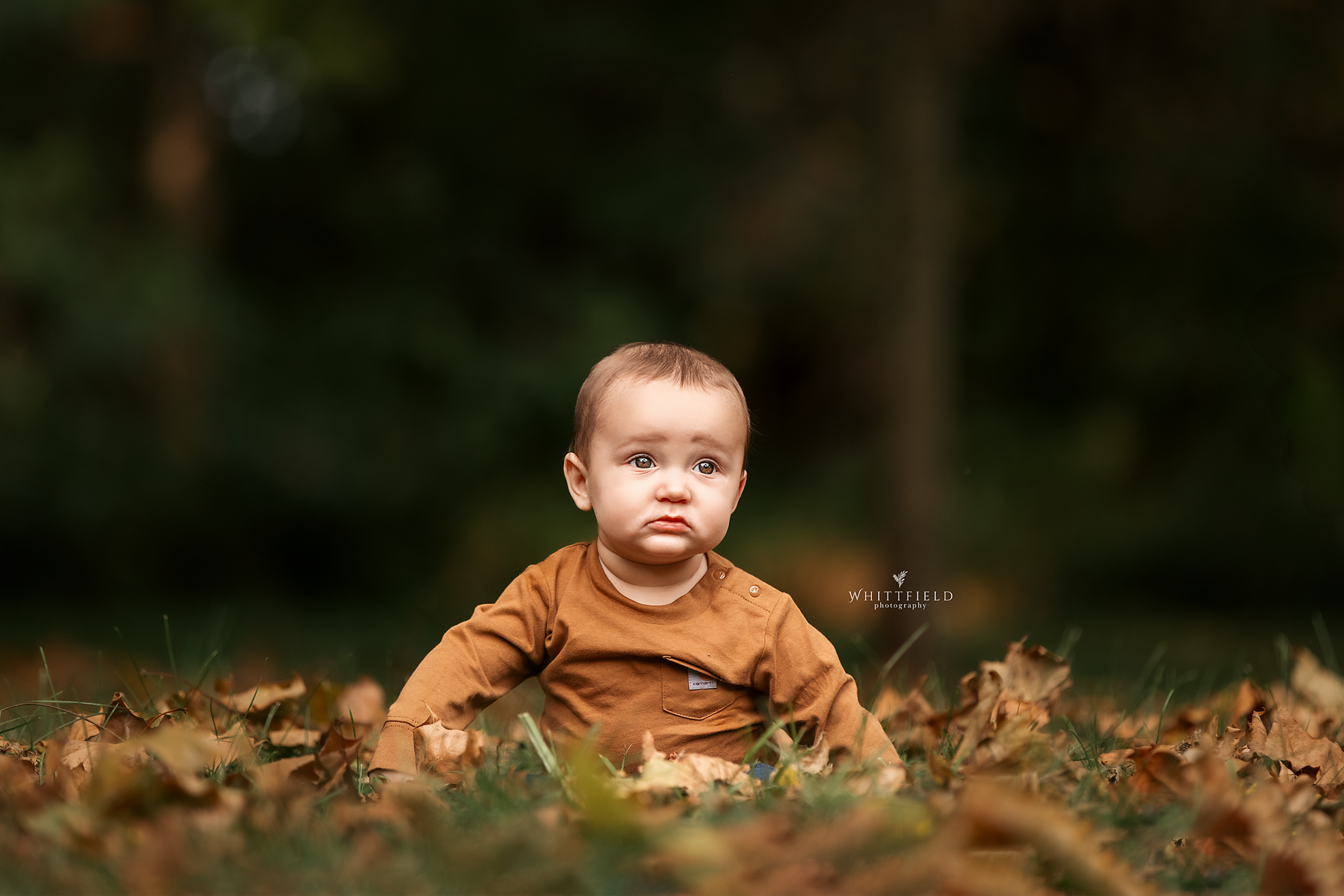 A young child with short brown hair, sitting on the ground covered with fallen autumn leaves in a forested area. The child is wearing a brown long-sleeve shirt and looks slightly sad or thoughtful. The background is blurred with dark green trees.