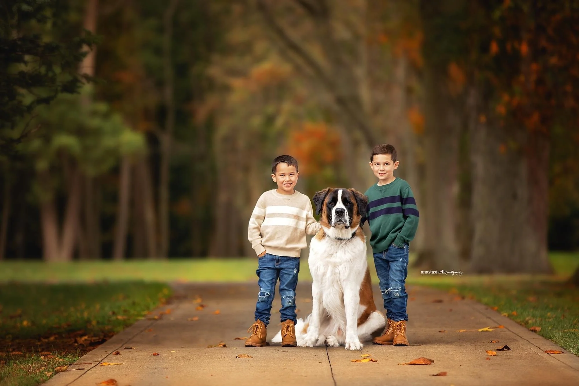 Two young boys and a large Saint Bernard dog standing on a paved path surrounded by fall foliage.