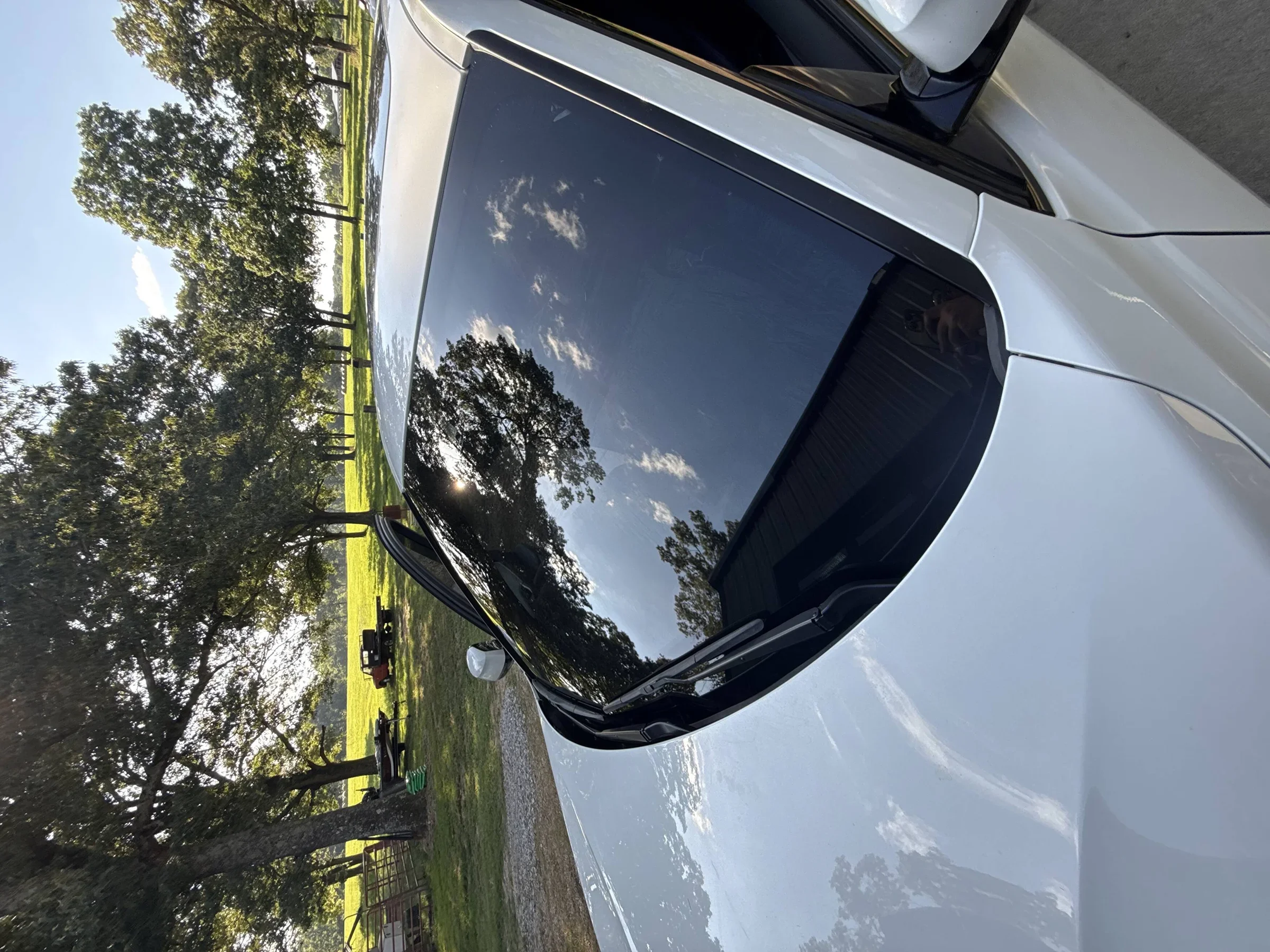Close-up of a white car with a reflective black windshield, showing trees and sky reflected on the windshield. Trees and a park-like area are visible in the background, with a bench and a small trailer or cart nearby.