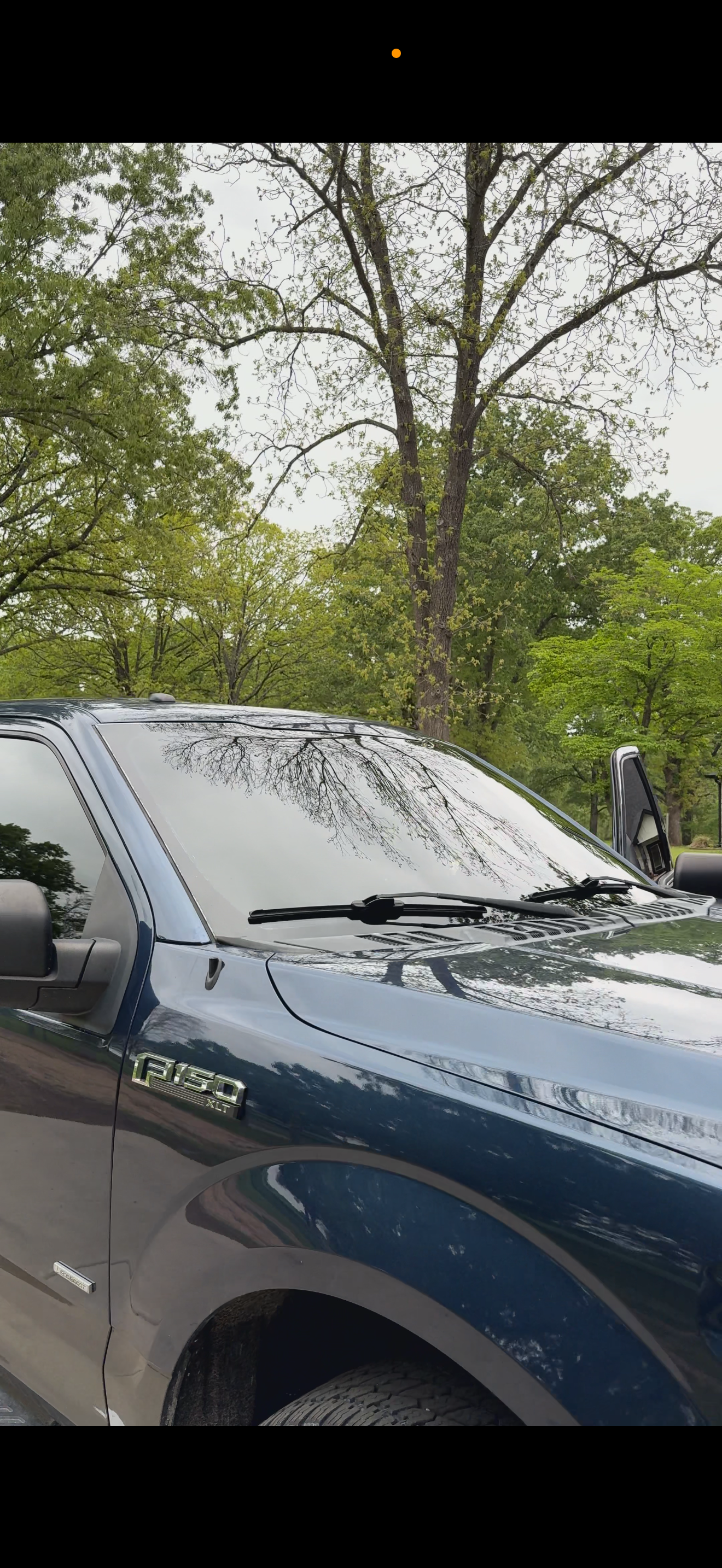 A close-up of the front side of a black Ford F-150 XL pickup truck parked outdoors, with trees and cloudy sky reflected on the windshield and hood.