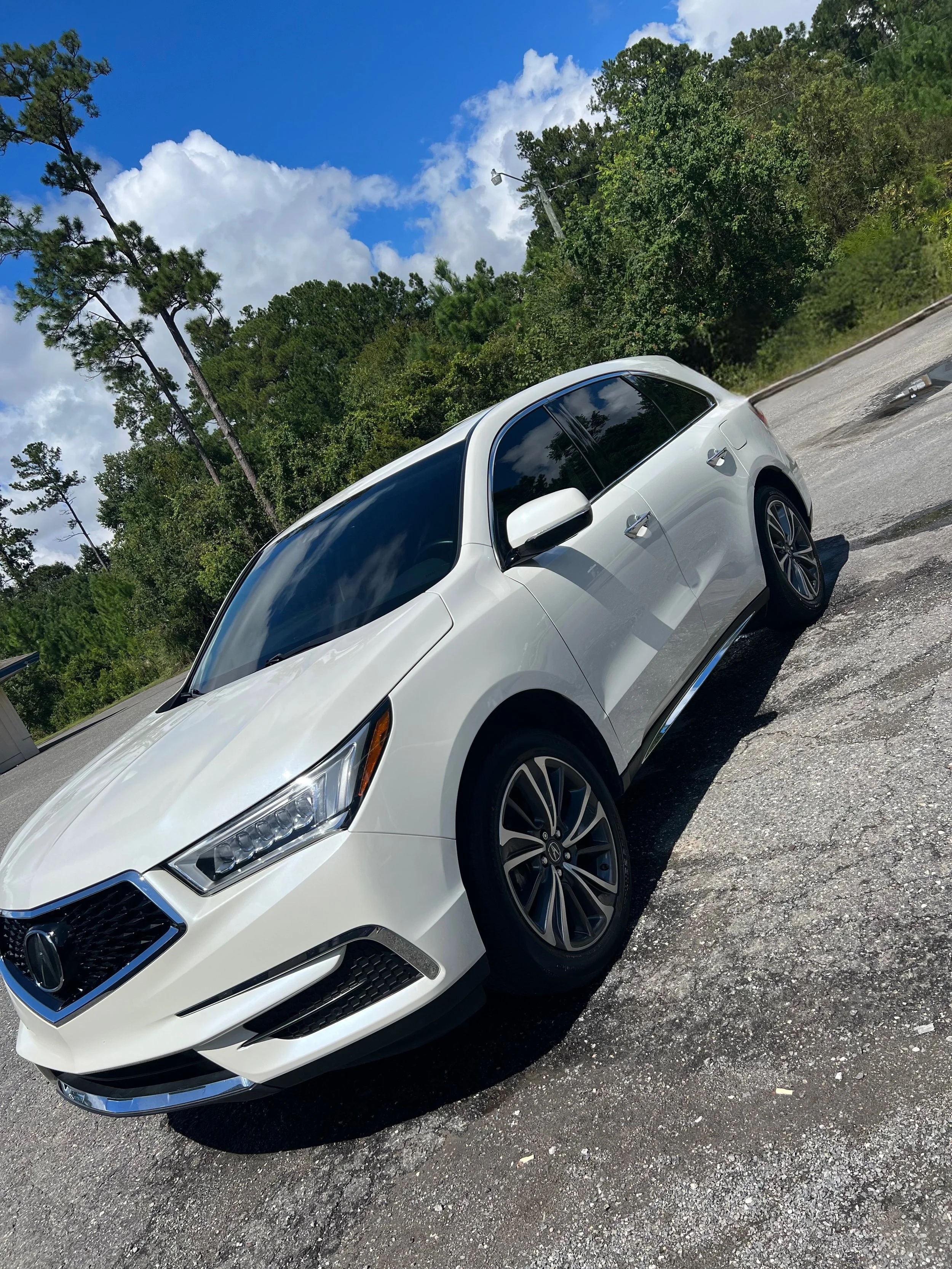 Bi-Weekly Vertex Maintenance