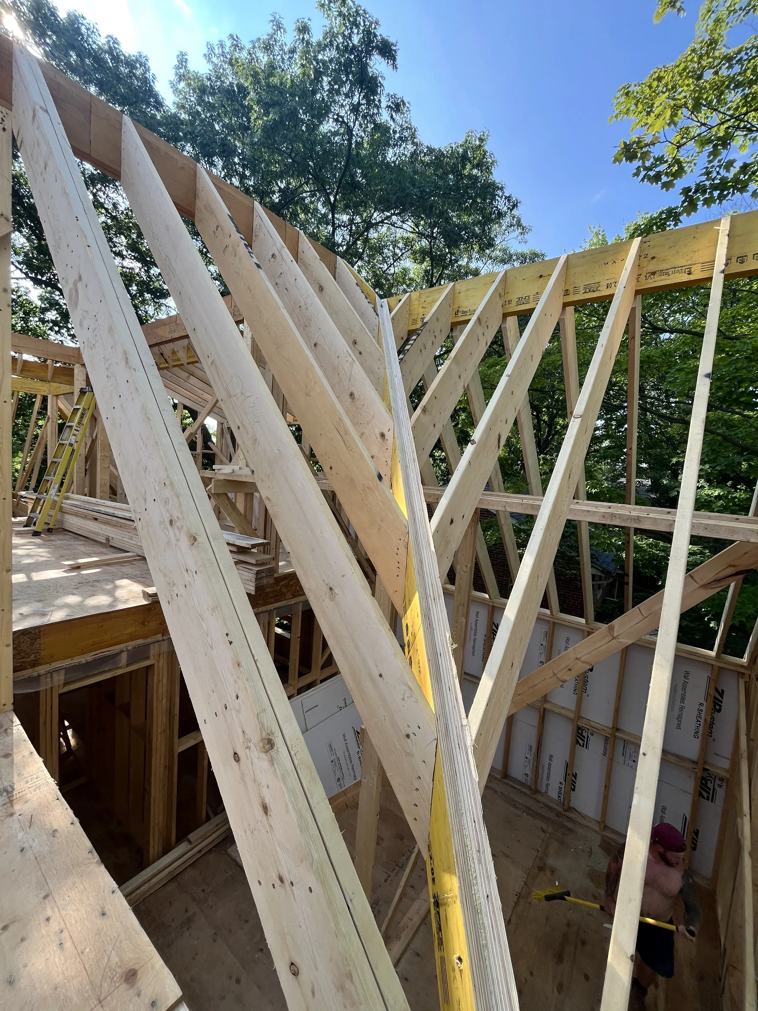 Photo 2025-07-25, 5 23 16 PM.jpg