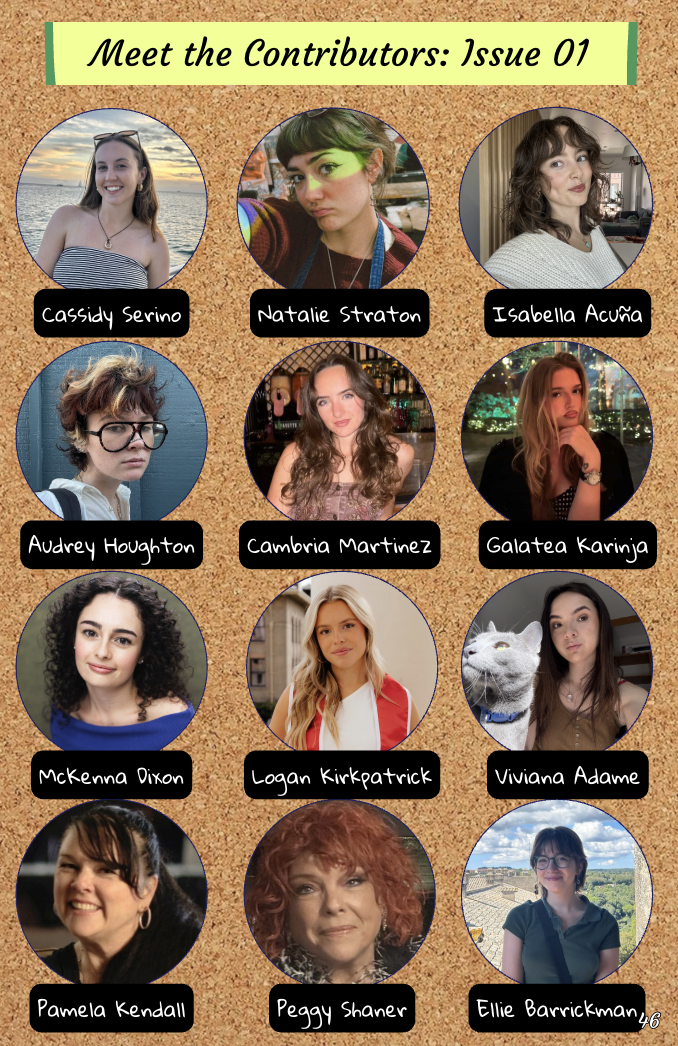 Screenshot 2026-03-25 at 1.01.11 PM.png