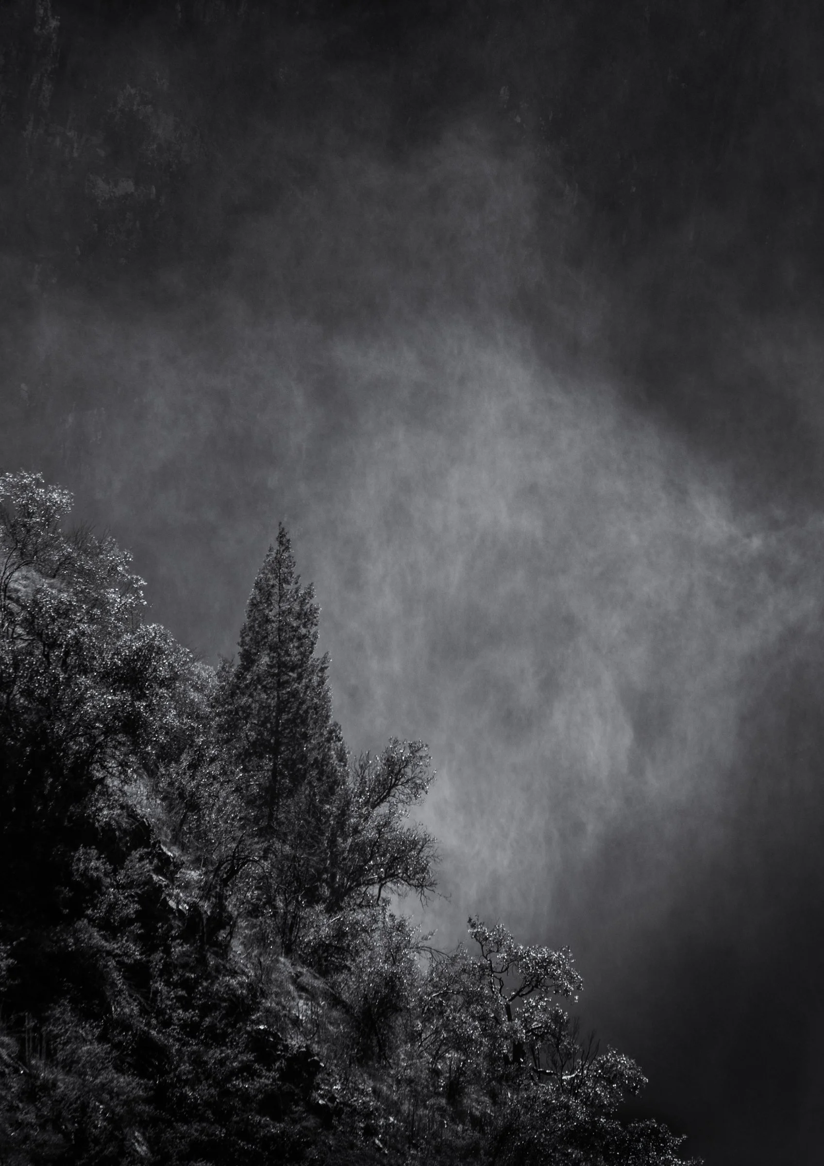 Tiaki - Aspley Falls, NSW, Australia