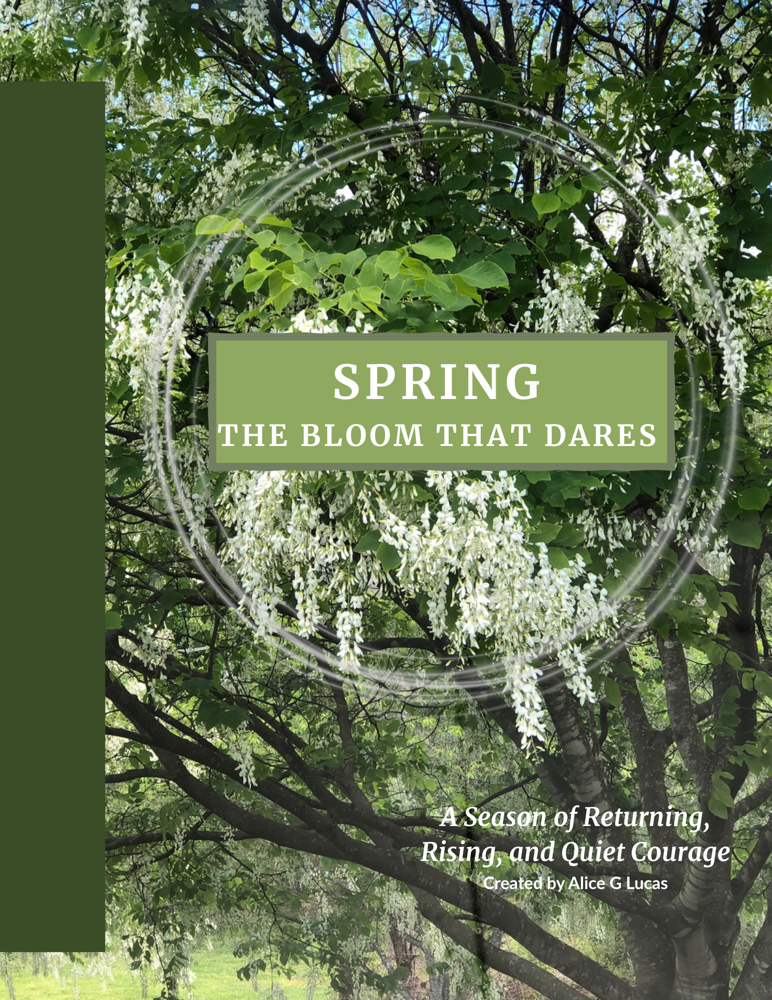 SPRING: The Bloom That Dares A Season of Returning, Rising, and Quiet Courage