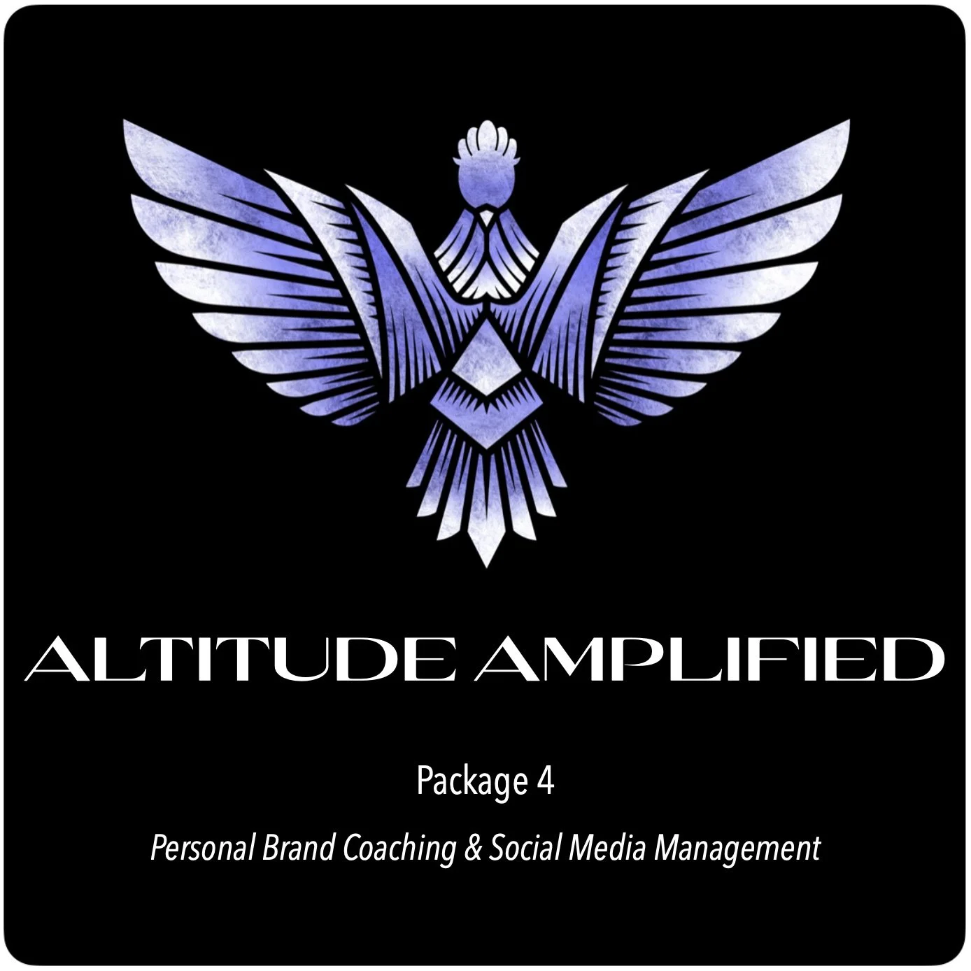 Altitude Amplified ~ Personal Brand Coaching & Social Media Management