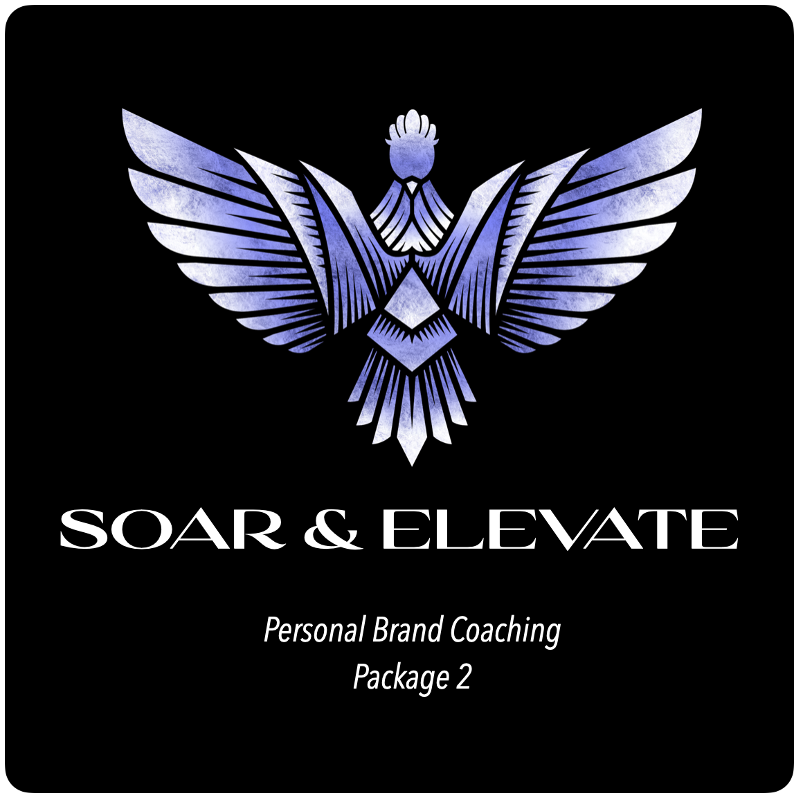 Soar & Elevate ~ Personal Brand Coaching Package 2
