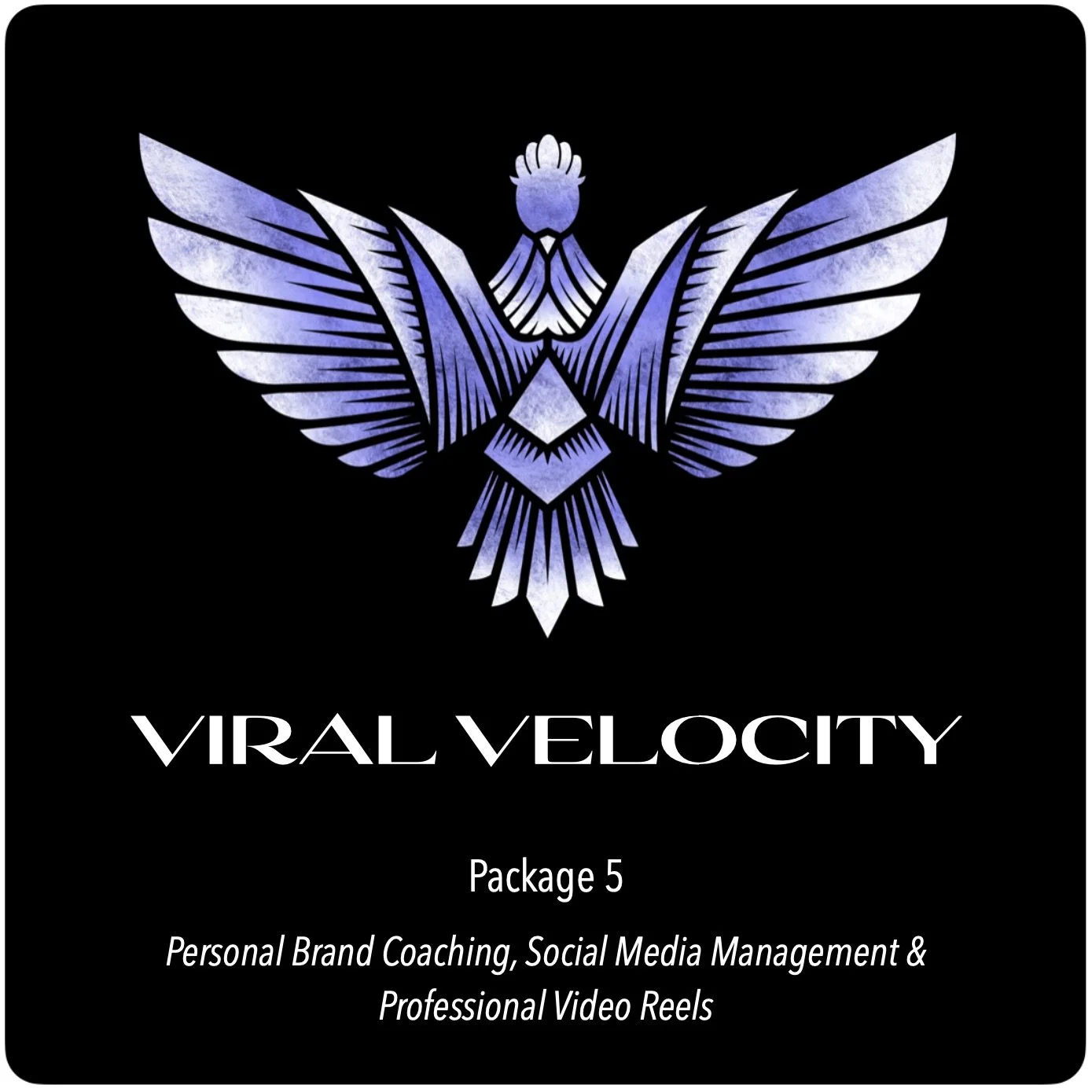 Viral Velocity - Personal Brand Coaching, Social Media Management & Professional Video Reels