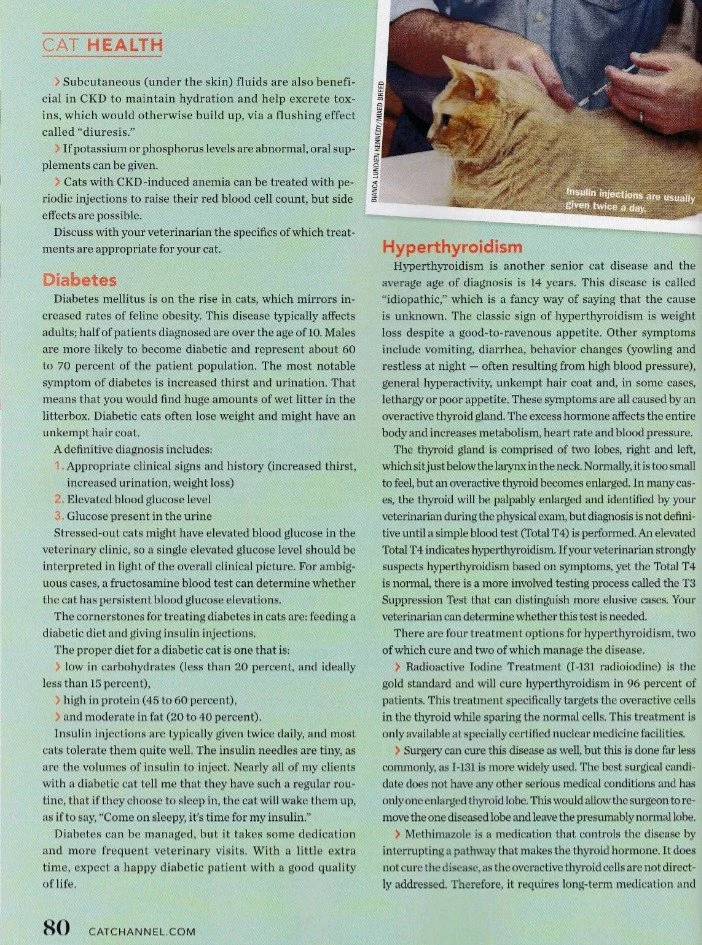 PUBWORKS-500kb_004.jpg