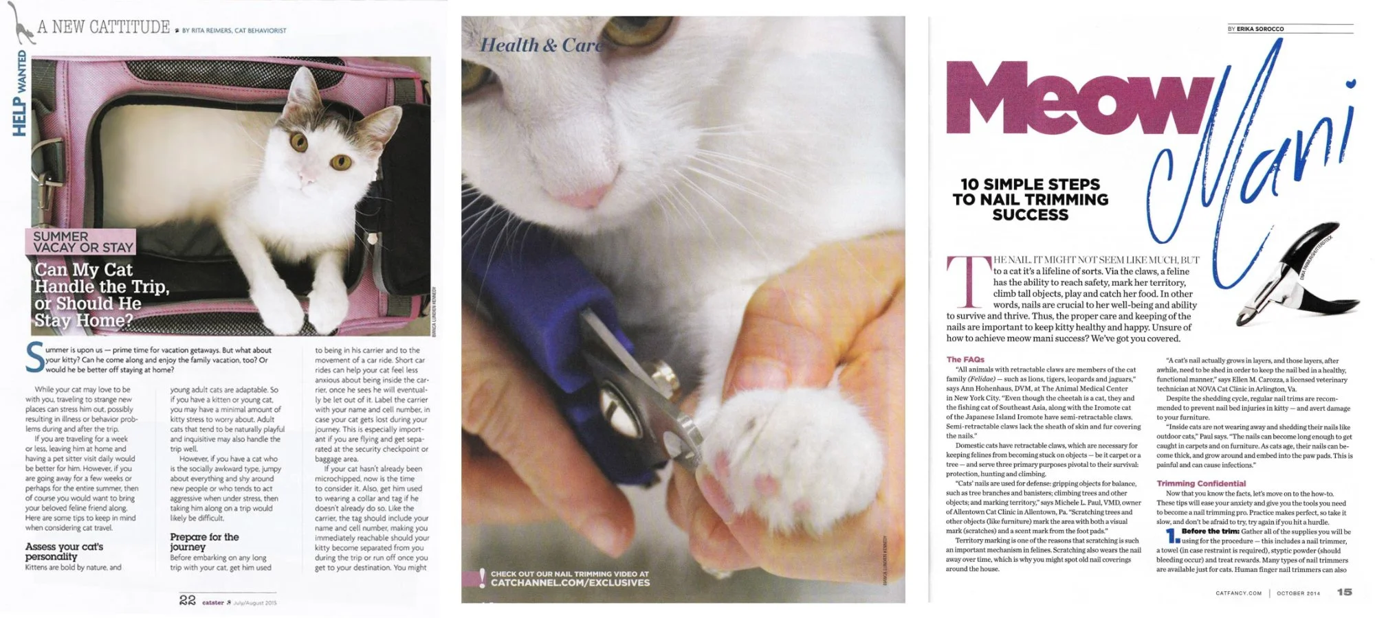 A magazine spread featuring three pages about cats, including a close-up of a cat's face with a person's hand trimming its nails on the right, and a photo of a cat inside a pink carrier on the left.