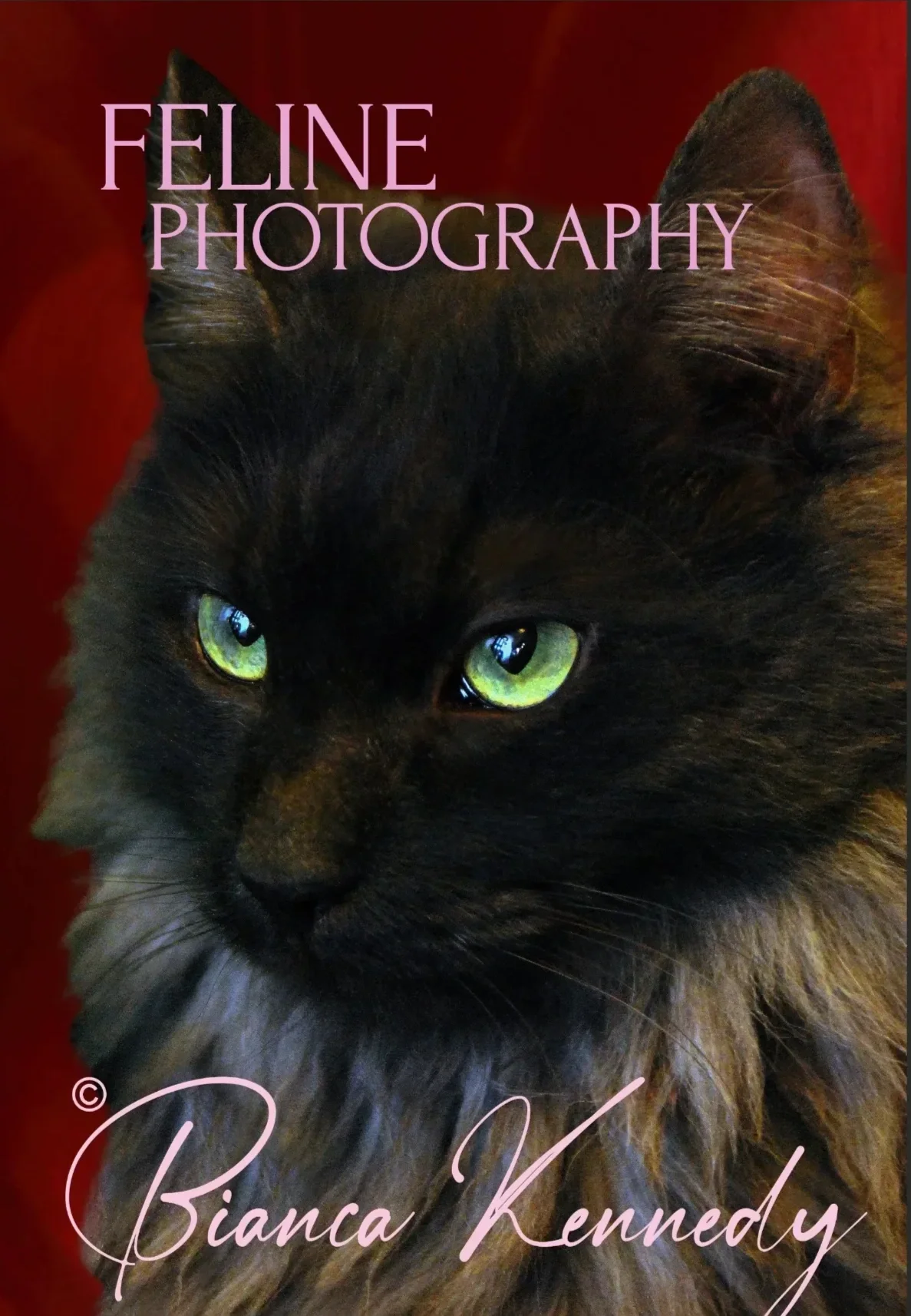 Close-up of a black and brown long-haired cat with striking green eyes, with text overlay reading 'Feline Photography' and 'Bianca Kennedy'.