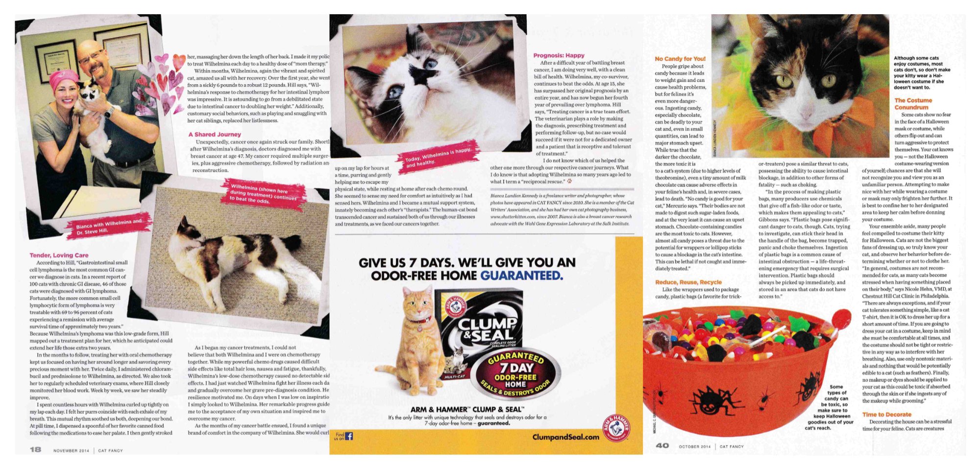 Brochure featuring a man and woman holding a cat, with multiple images of cats, including close-ups and a bowl of candy. Text discusses cancer treatment, a shared journey, and a 7-day odor-free home guarantee for cat litter.