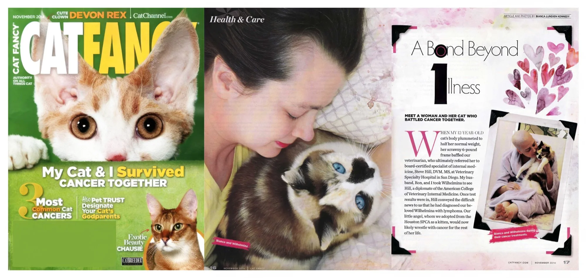 A magazine spread featuring a cover photo of a white and orange kitten with large eyes on the left, and a woman with dark hair cuddling a calico kitten with blue eyes on the right, accompanied by an article about battling cancer with pet cats.