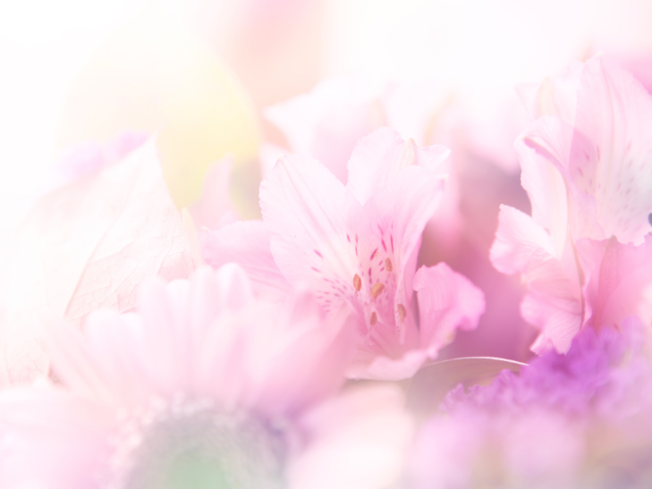 Another Section Background (8)_500kb.png