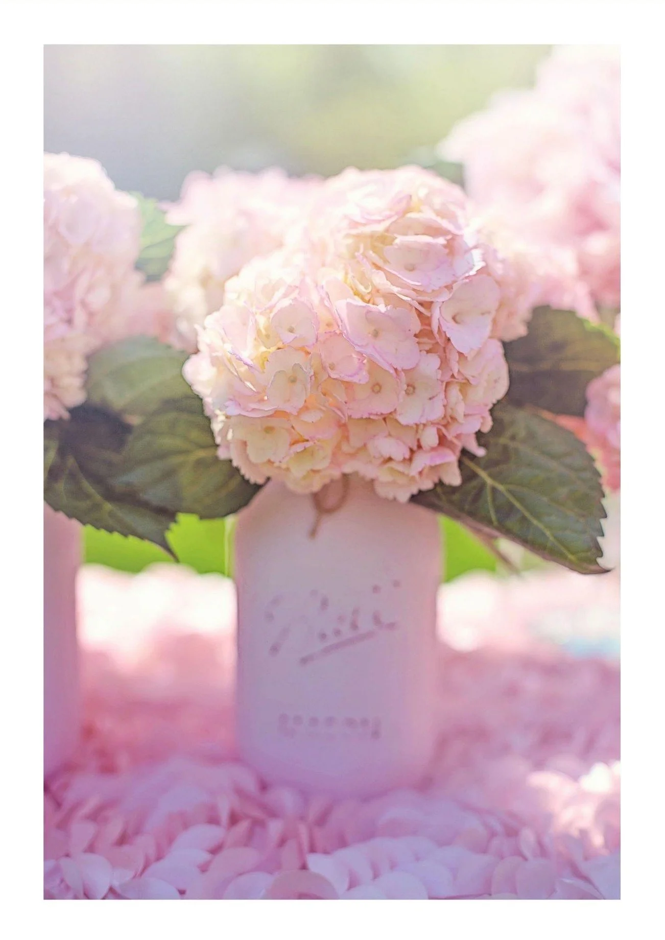 Close-up of a pink hydrangea flower cluster on a pale pink stand with pink petals scattered at the base, green leaves surrounding the flower, and a blurred pastel-colored background.