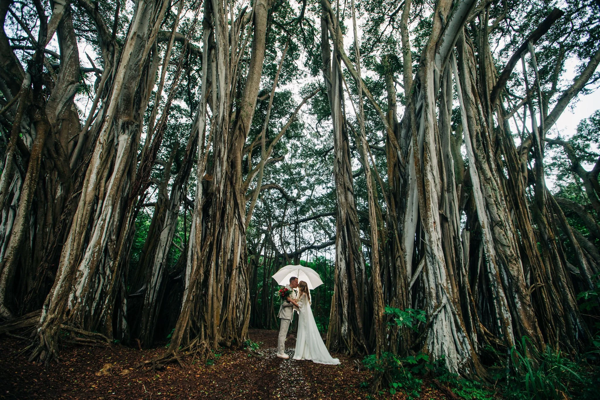 A couple in wedding attire standing in a dense forest with towering, twisted trees, sharing a kiss under a white umbrella, with leaves and branches overhead.