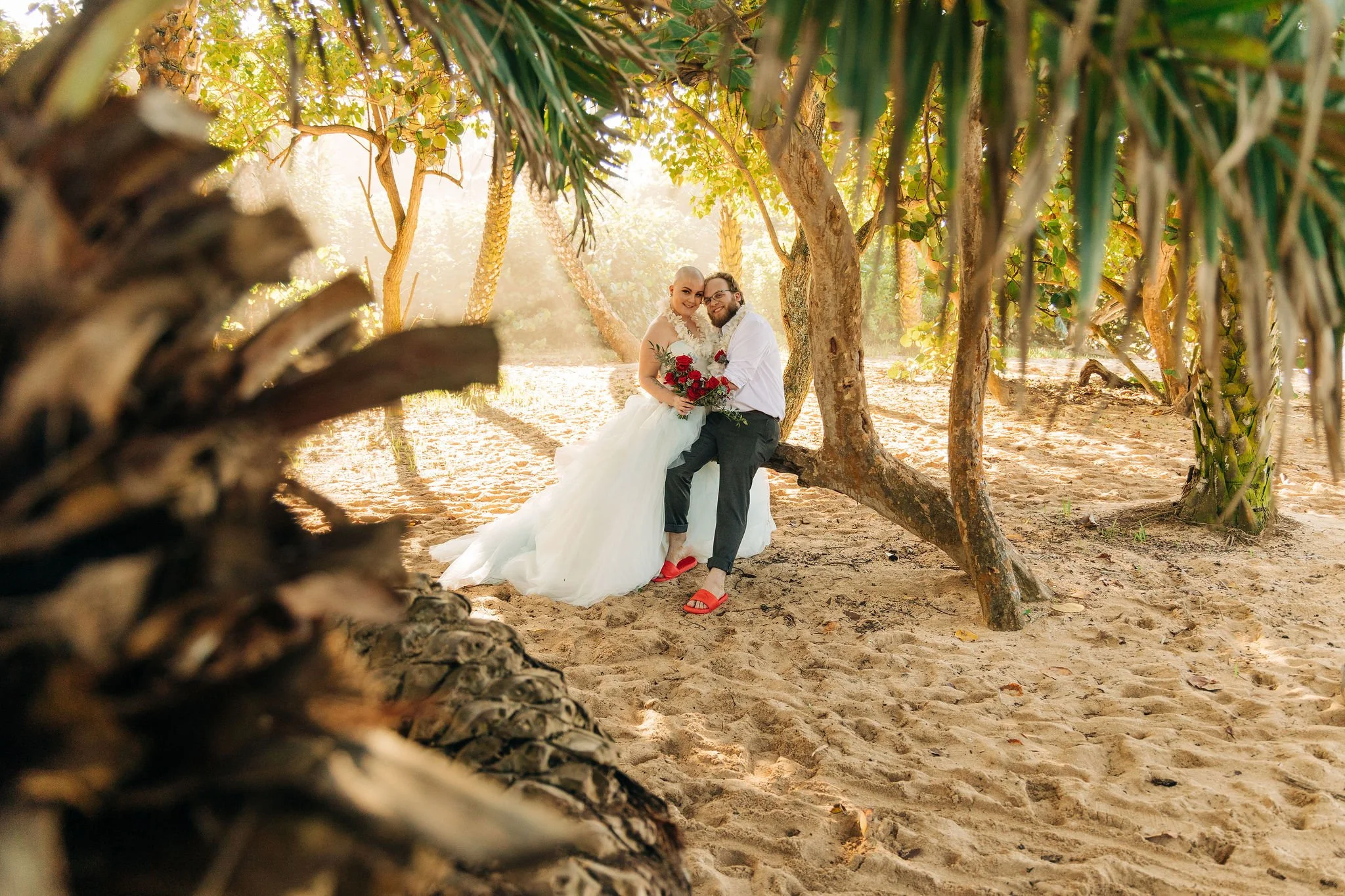 A bride and groom sitting on a tree branch on a sandy beach, holding a bouquet of red flowers, surrounded by palm trees and tropical foliage, with sunlight filtering through the leaves.