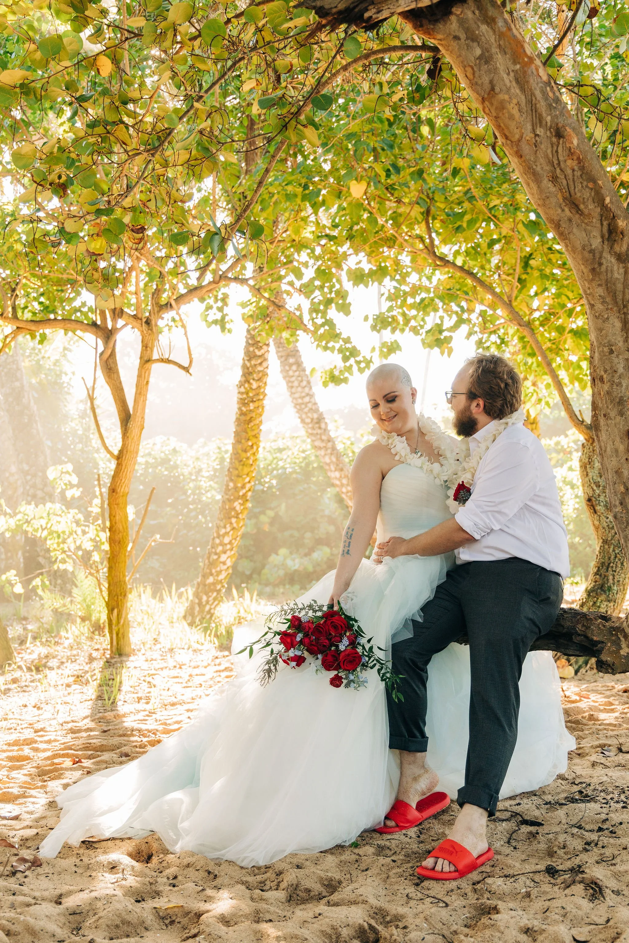 A bride and groom sitting on a tree branch in a beach setting, wearing wedding attire, with the bride holding a bouquet of red roses and both smiling, surrounded by lush trees and sunlight.
