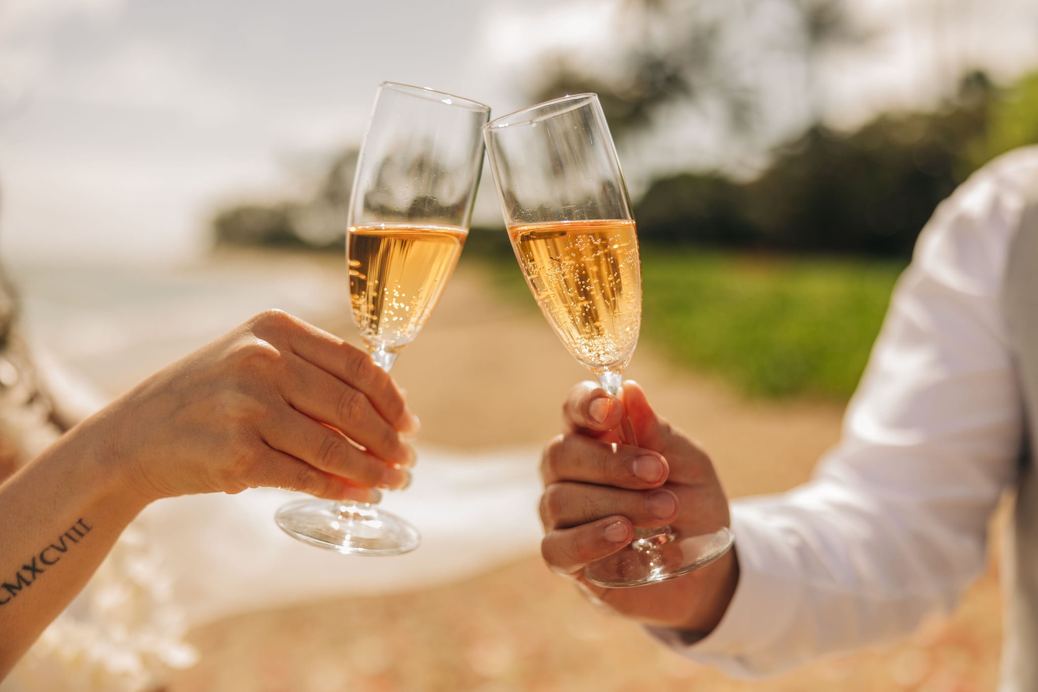 Two people holding champagne glasses clinking outdoors.