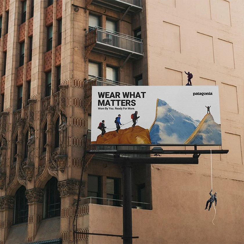 Patagonia Campaign