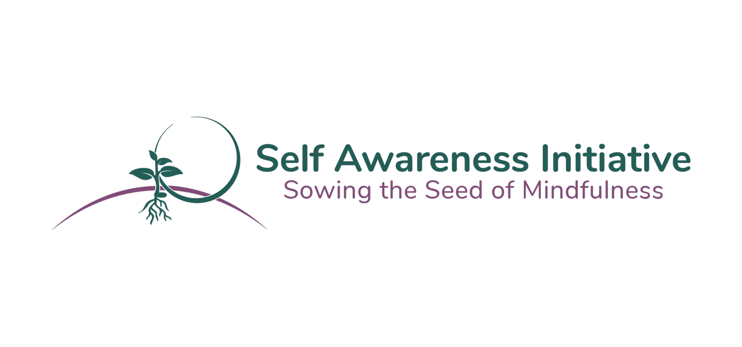 Self Awareness Initiative 
