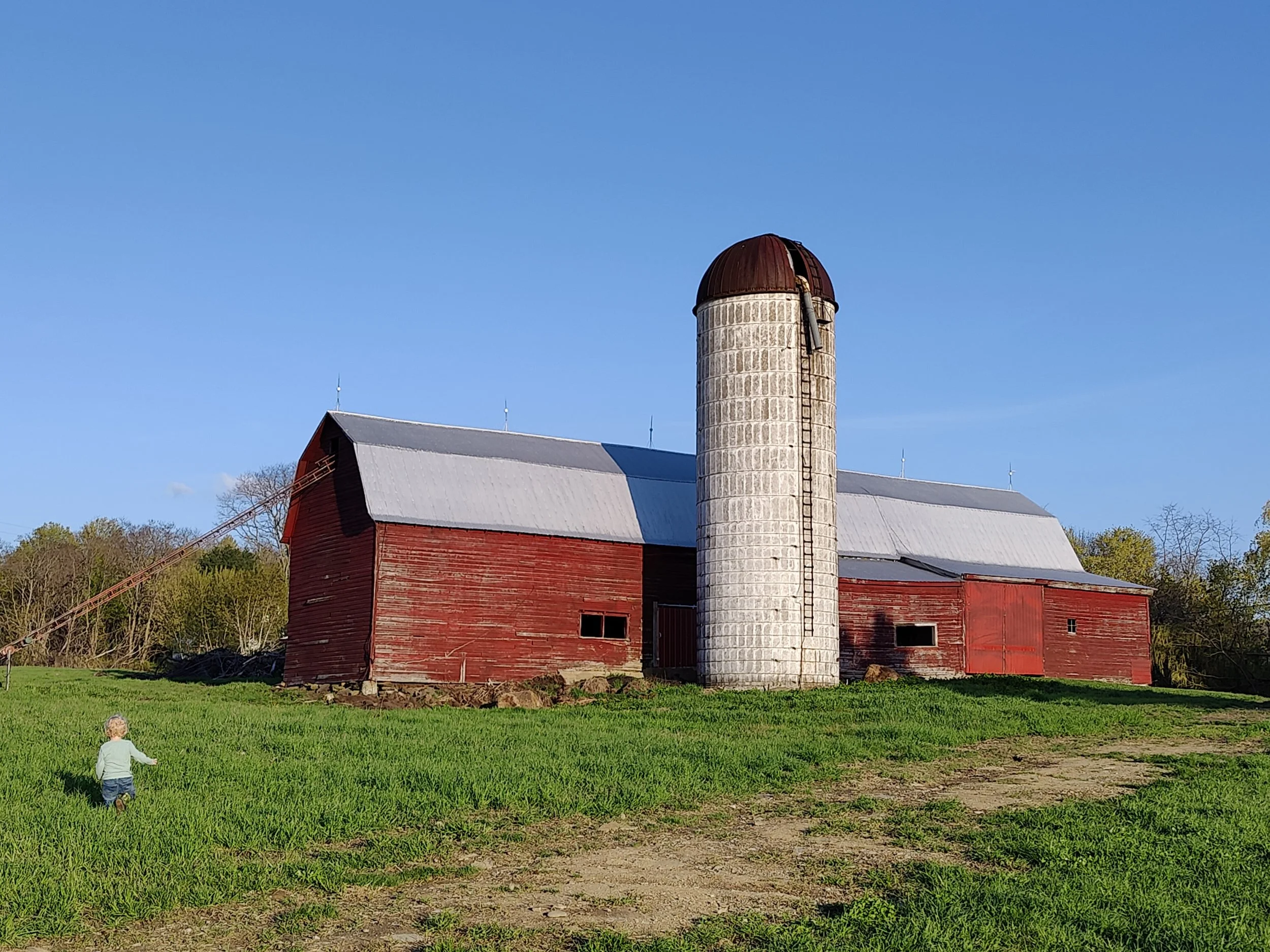 A red barn with a metal roof and a tall, white silo with a rust-colored metal top, set against a clear blue sky. A child is walking on the green grass in the foreground.