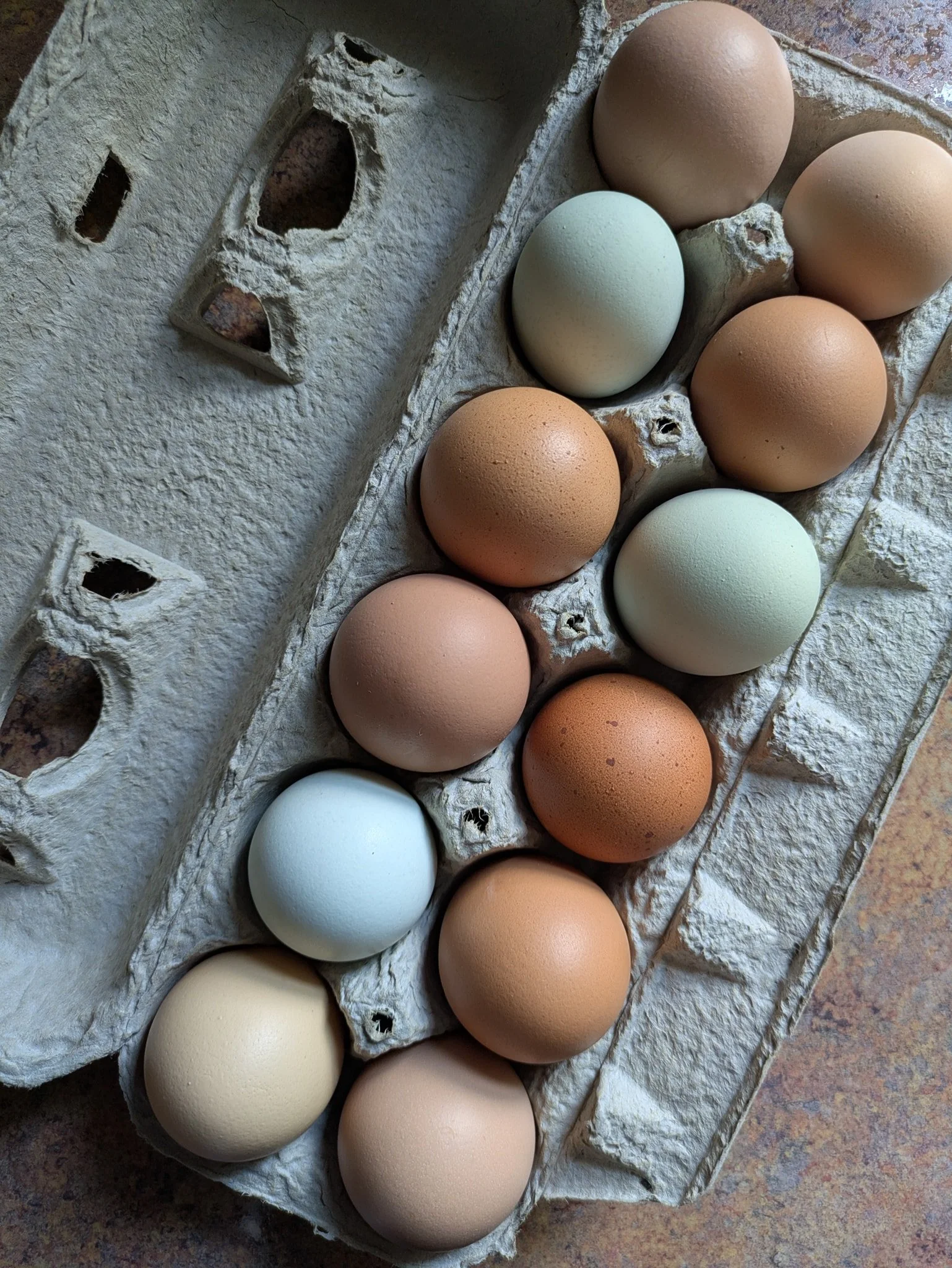 A carton of several eggs, including white, brown, and green eggs, in an egg tray on a countertop.