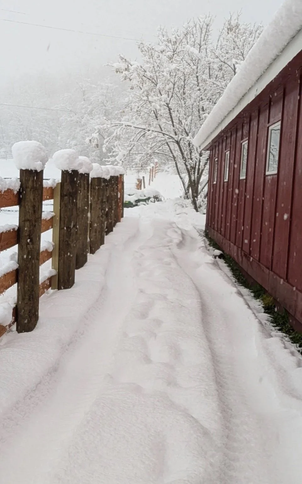 Snow-covered path next to a red wooden building and a wooden fence on a snowy day.