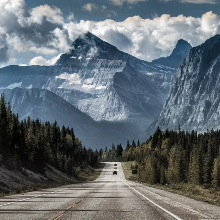 Riding Out the Storm: A Guide to Weathering Current Market Volatility