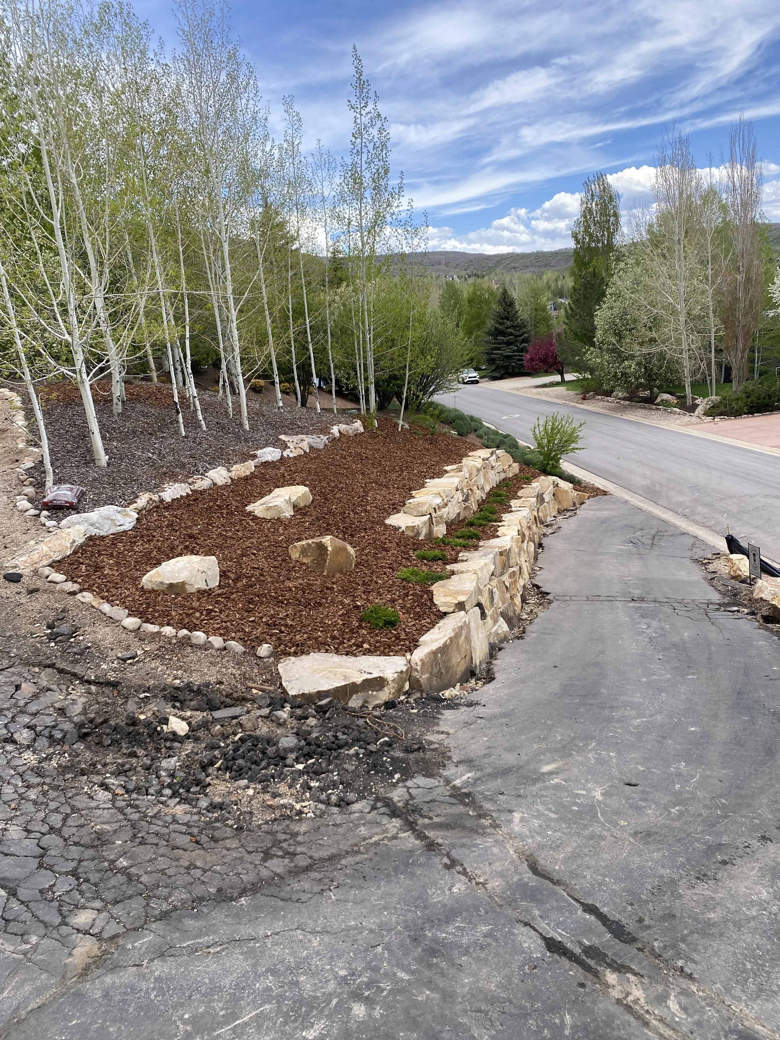 A landscaped hillside next to a paved driveway with trees, rocks, and mulch landscaping under a partly cloudy sky.