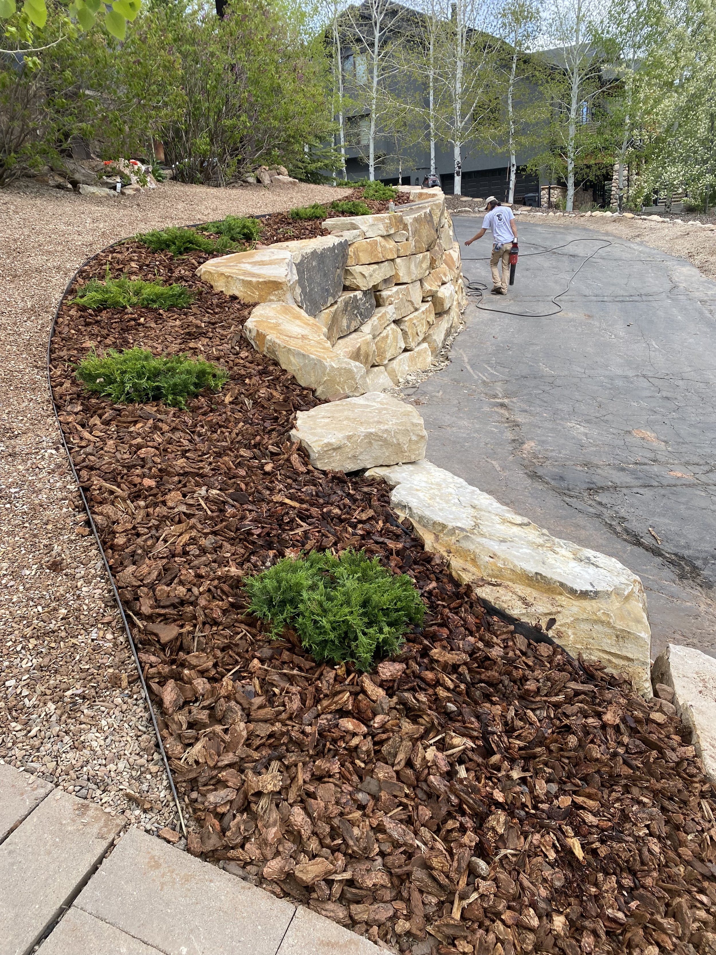 Landscaping worker installing a rock retaining wall with small green plants in mulch beside a paved driveway, with trees and a building in the background.