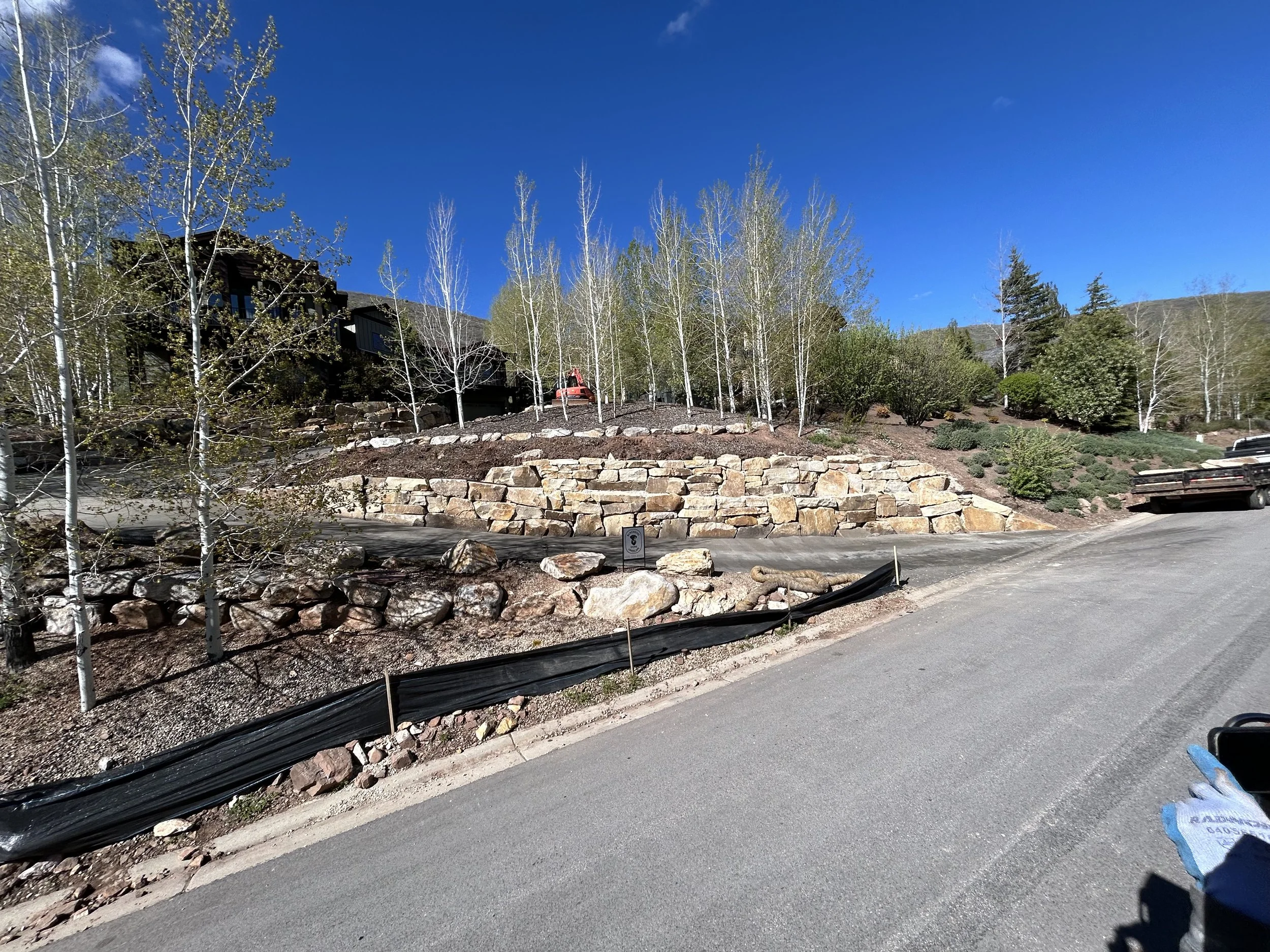 A landscaped hillside with a stone retaining wall, trees, bushes, and a road at the bottom, under a clear blue sky.