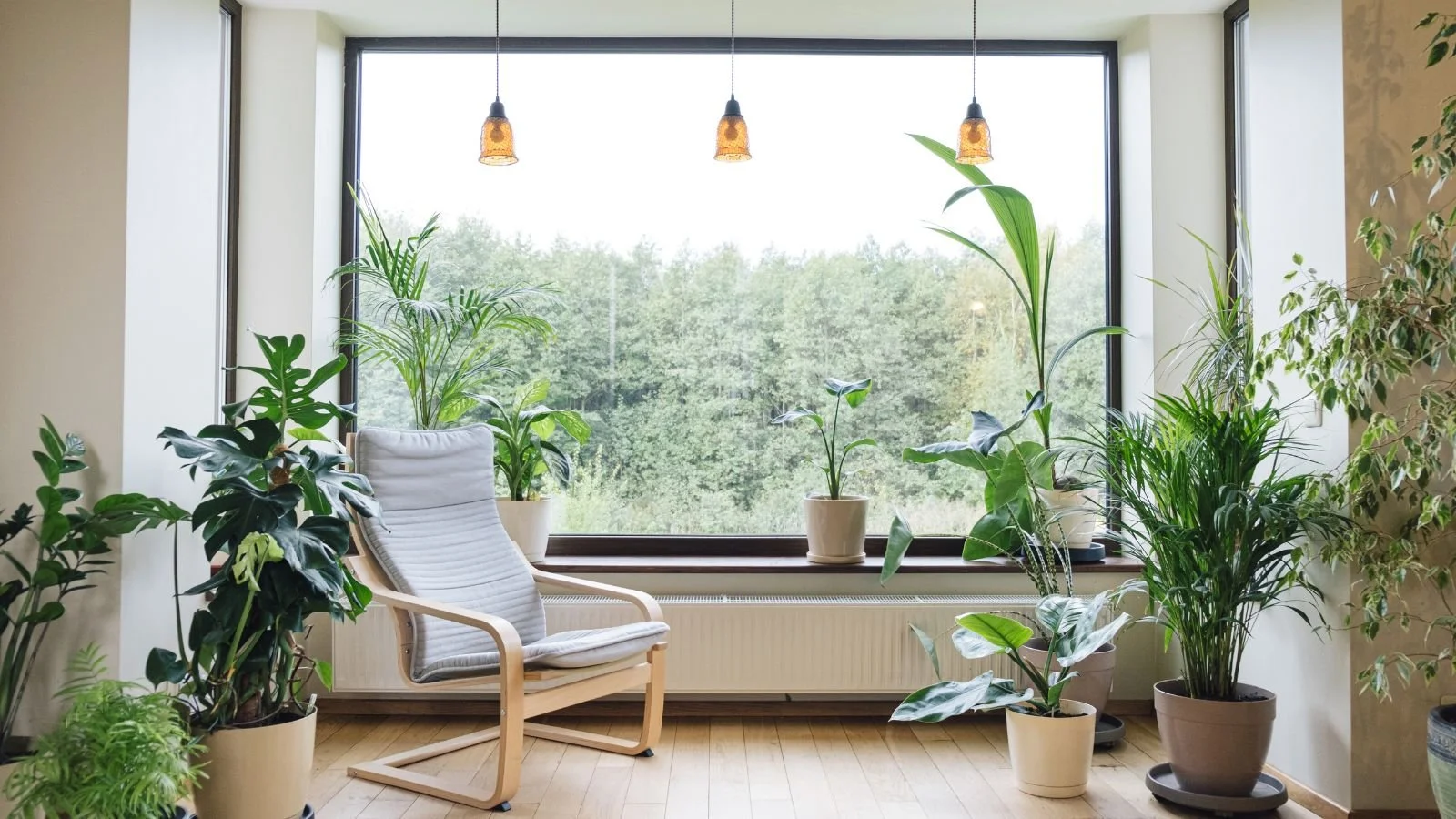 Living room with large window, several potted green plants, a white armchair with light wooden frame, pendant lights hanging from the ceiling, and a view of trees outside.