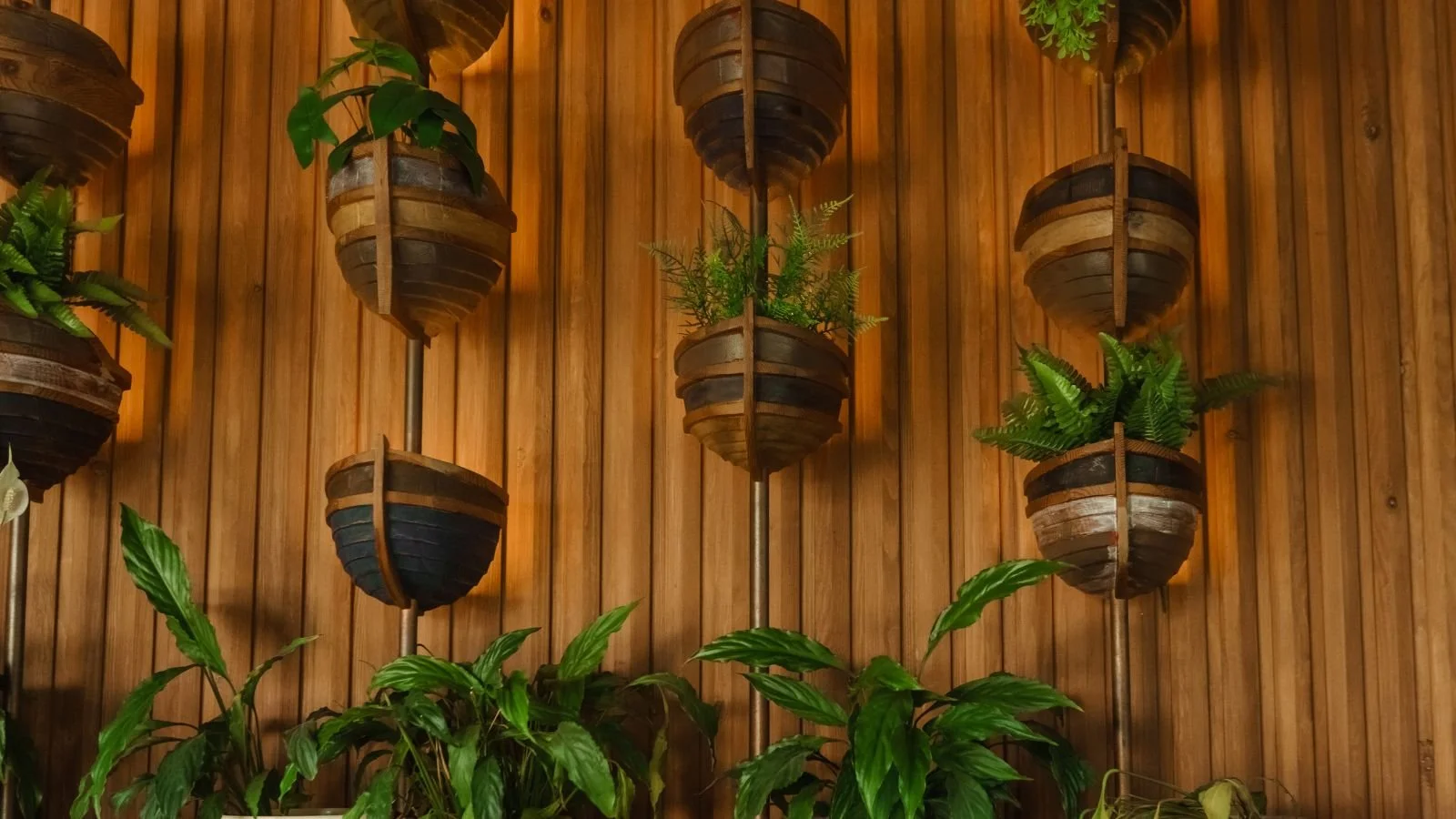 Vertical garden with wooden planters hanging on a wooden wall, filled with green plants.