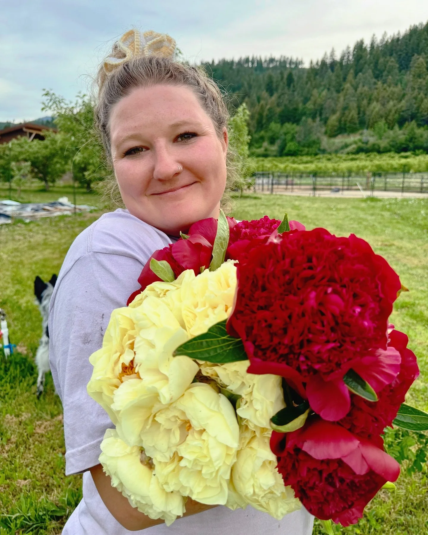 PEONY SZN IS STARTING 💛

The field looks incredible this year (year3)!! I&rsquo;m so excited to have so many beautiful blooms to share. I&rsquo;m curious, how would you like to get your hands on peonies this month?!

A 4ish week CSA?
A farmers marke