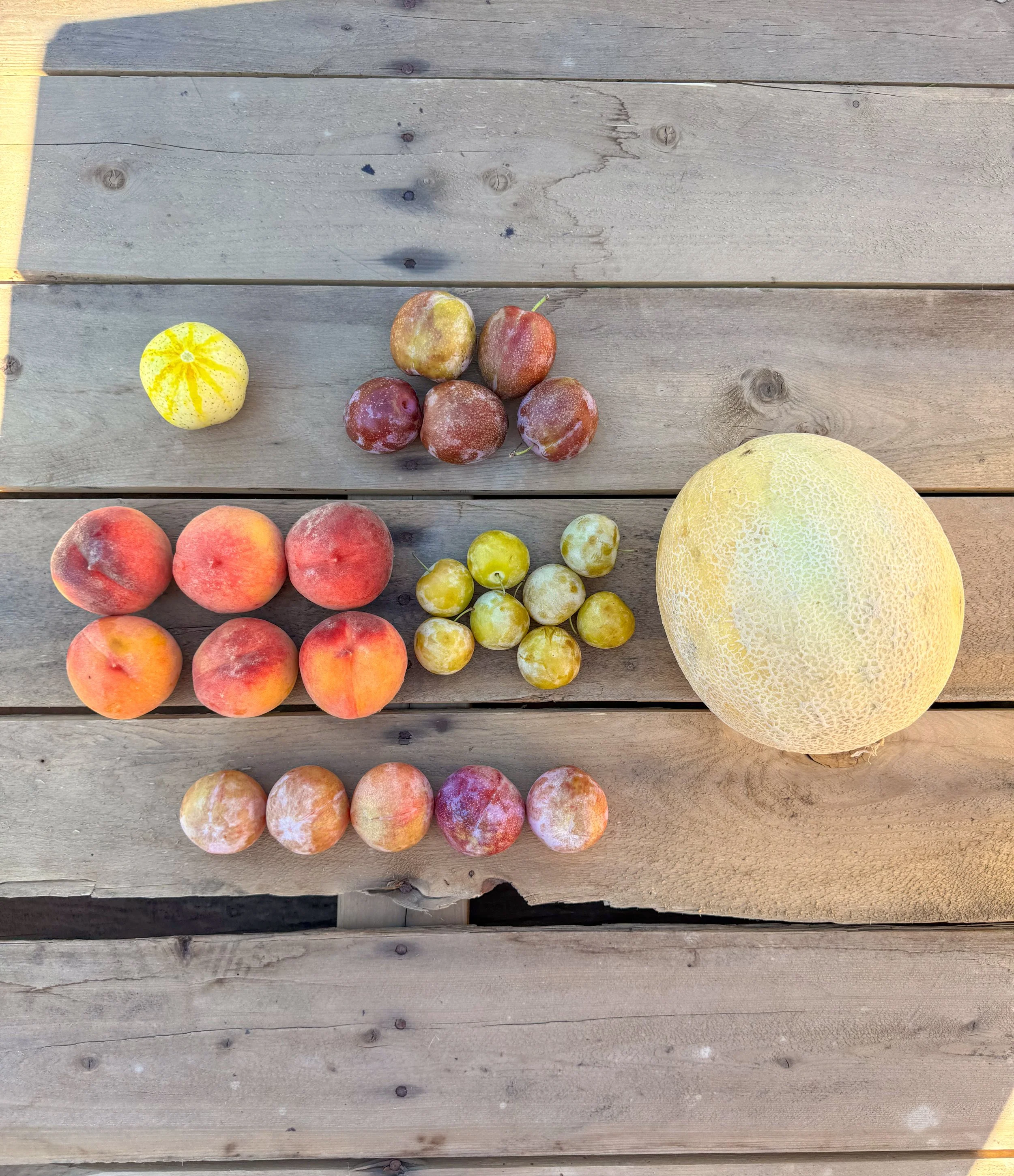 Various fruits including a yellow melon, peaches, plums, apples, grapes, and a yellow citrus fruit on a wooden surface.