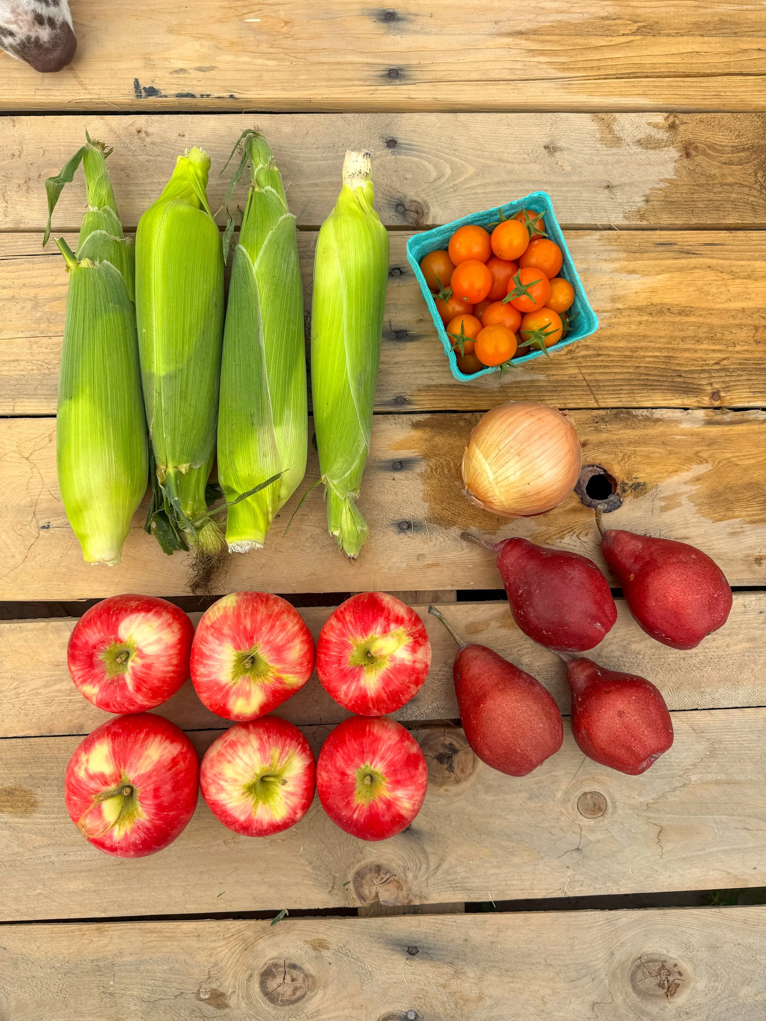 Fresh produce including corn on the cob, cherry tomatoes in a blue basket, a yellow onion, red apples, and red pears on a wooden surface.