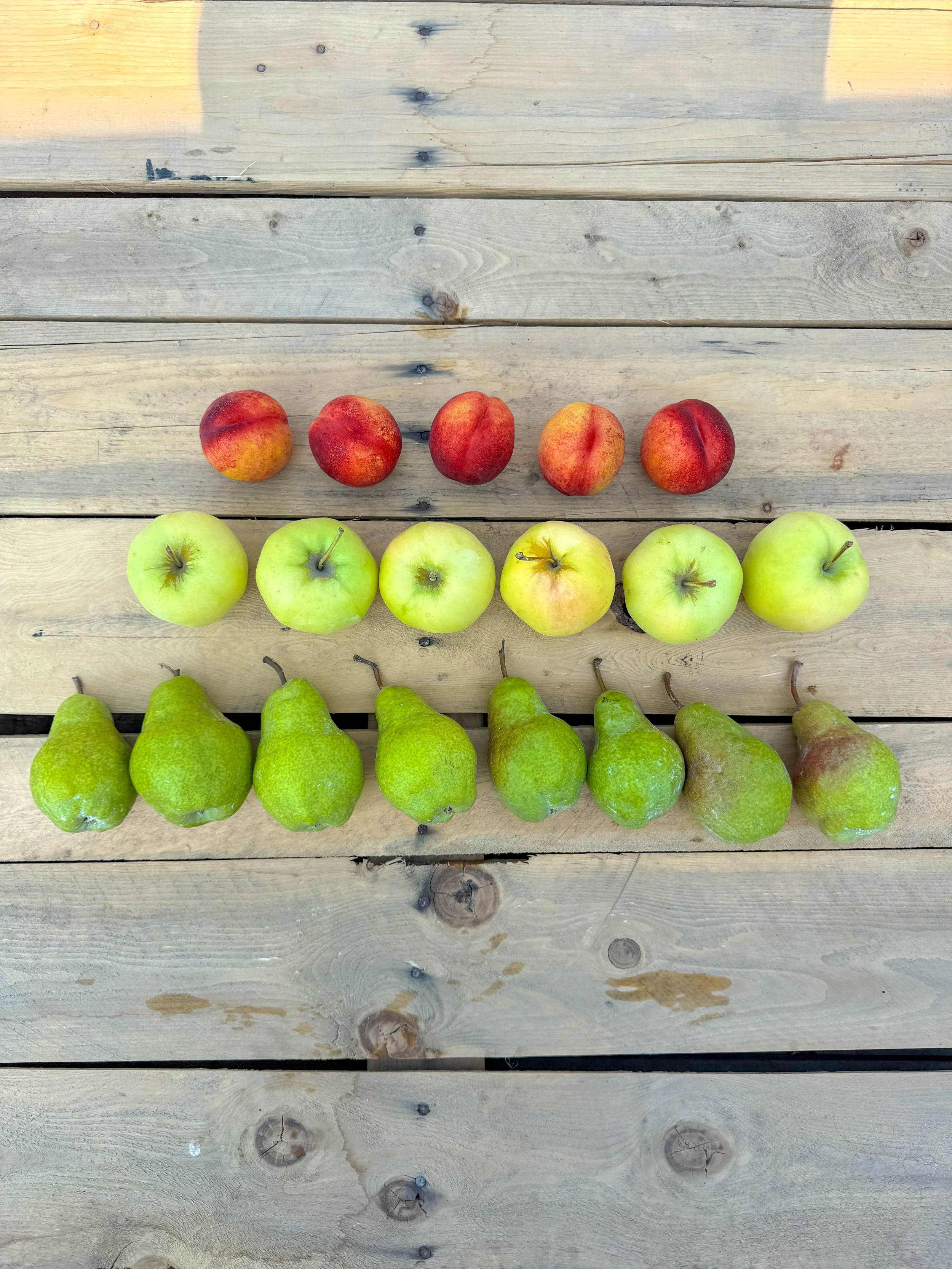 A row of red peaches, green apples, and green pears placed on a wooden surface.