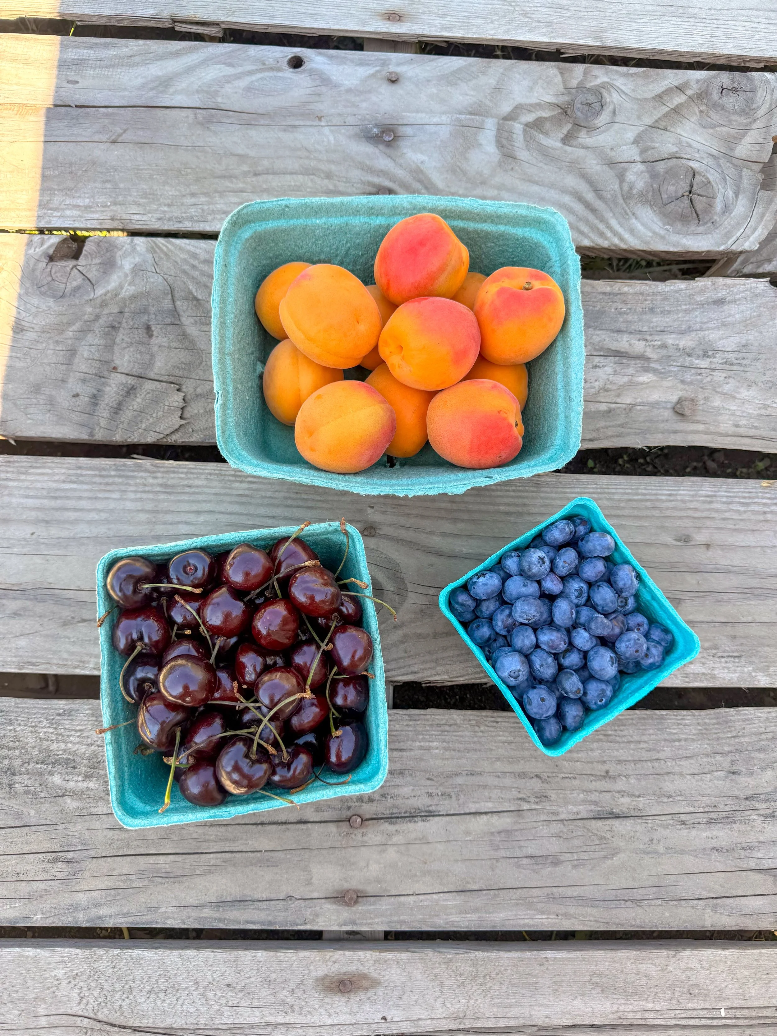 Three small containers of fresh fruit, including peaches, cherries, and blueberries, on a wooden picnic table.