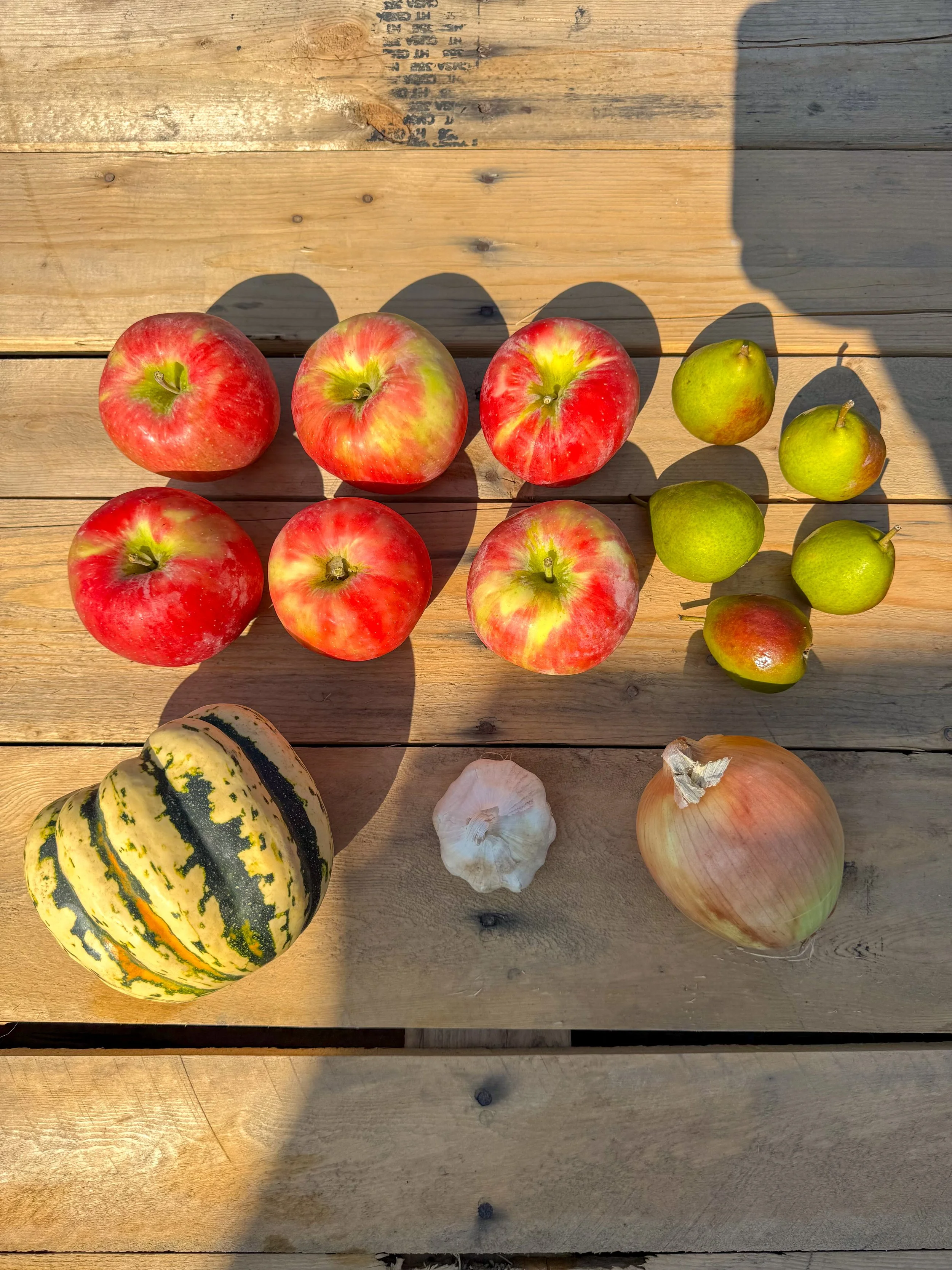 Variety of fruits on a wooden surface, including apples, pears, a squash, garlic, and an onion.