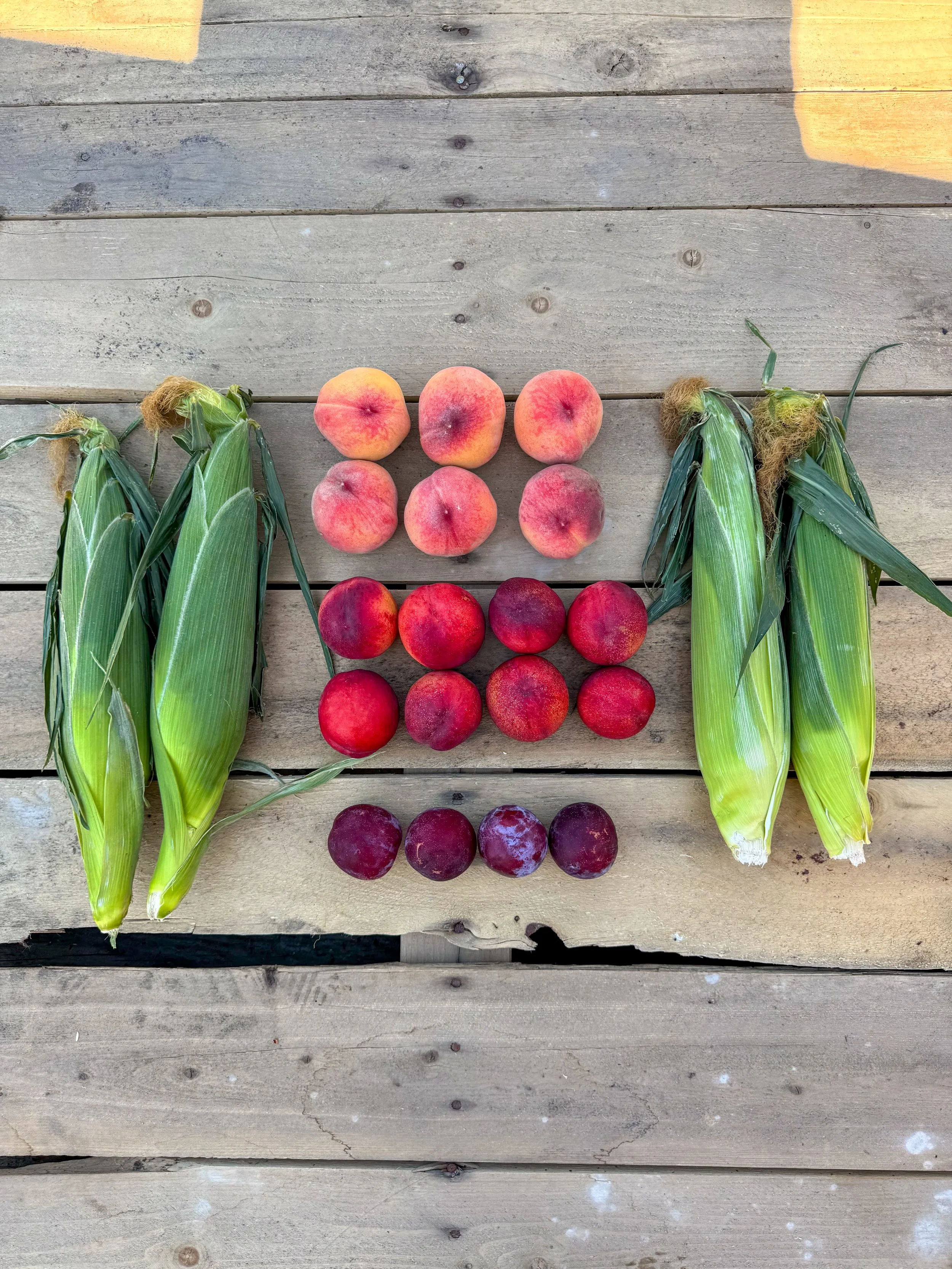 Six peaches, eleven peaches, six nectarines, and six grapes arranged on a wooden surface next to four ears of corn.