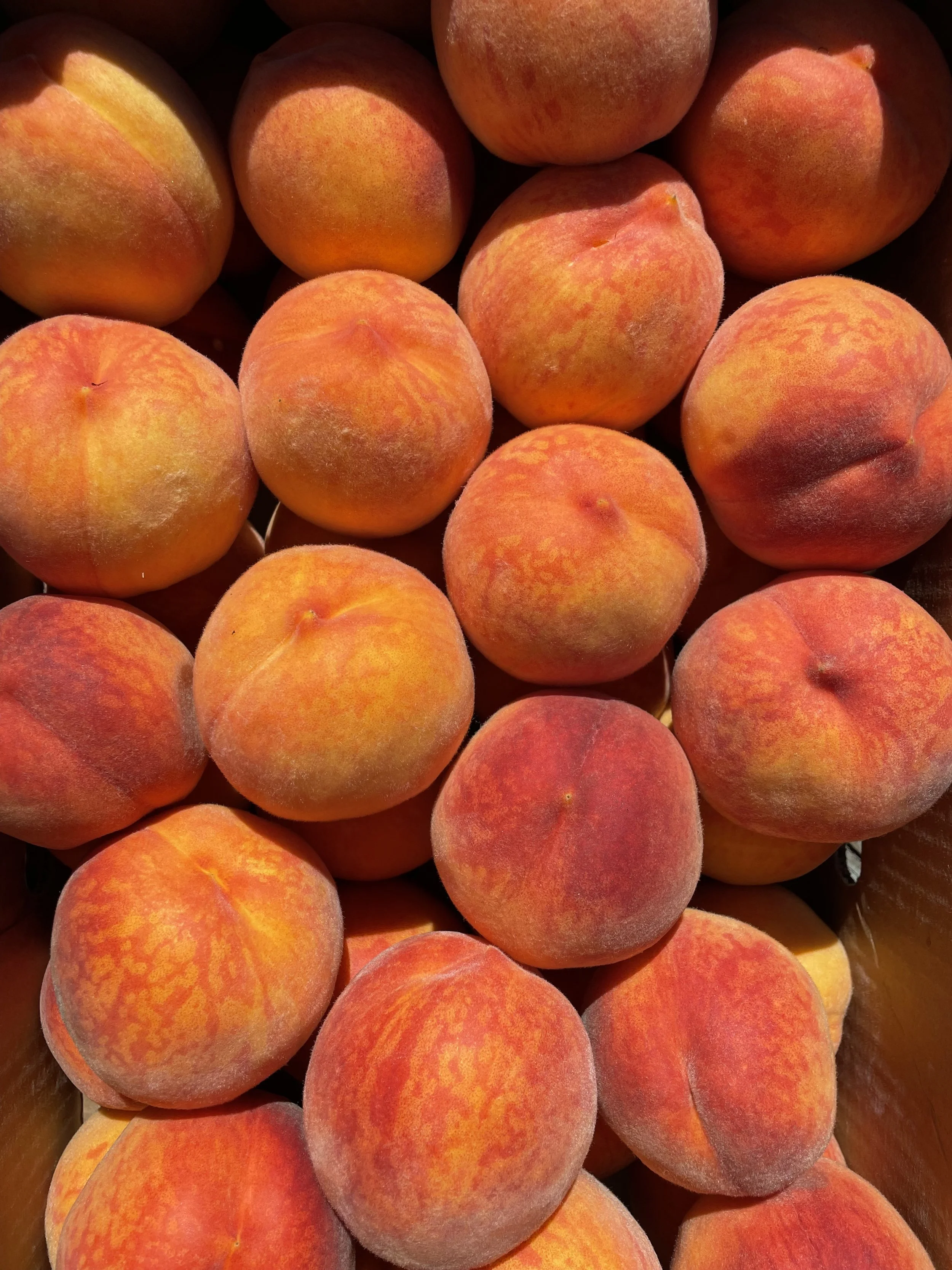 Several ripe peaches with fuzzy skin and orange-red color overhead shot.
