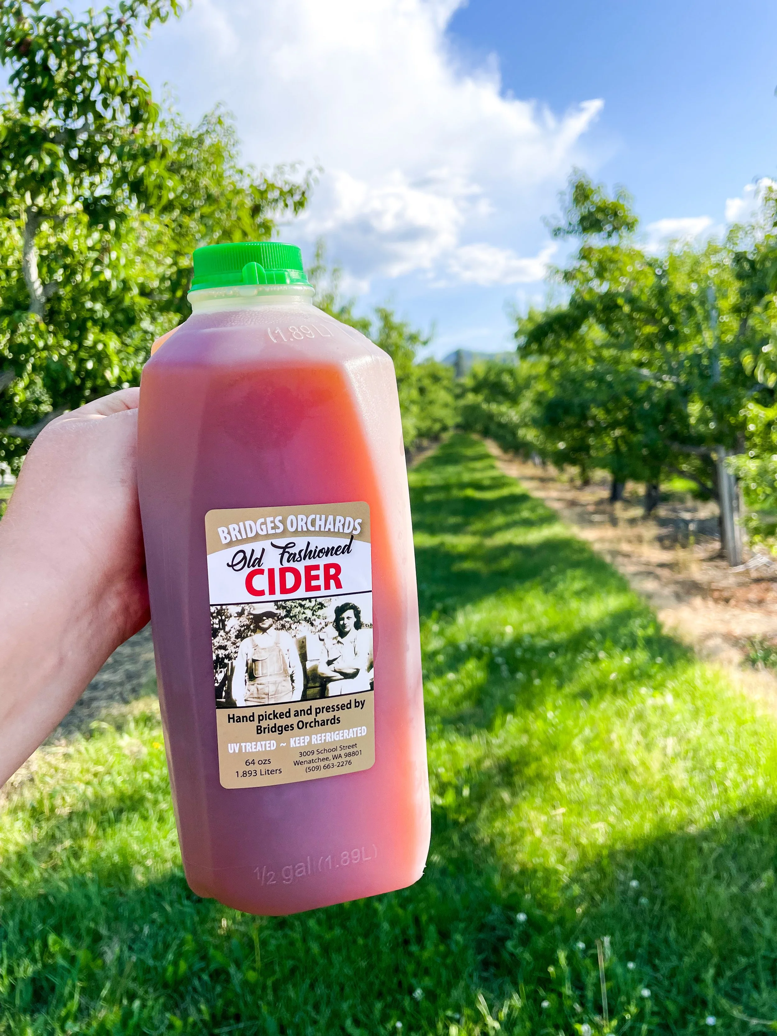 A person holding a bottle of Bridges Orchards old fashioned cider in front of an orchard on a sunny day with a blue sky and some clouds.