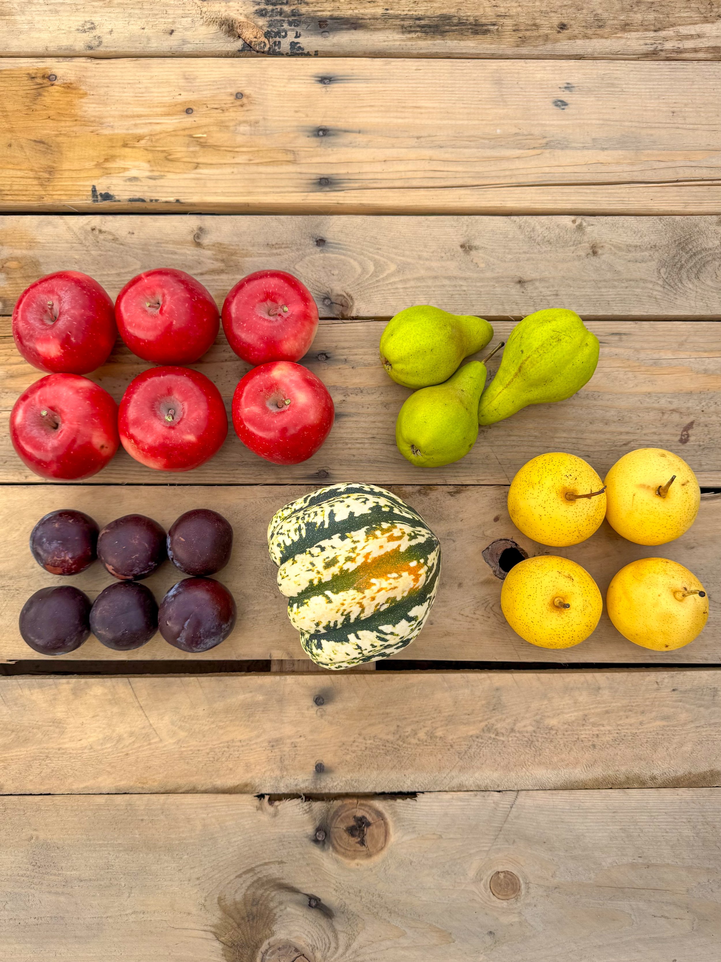 Six red apples, three green pears, five purple plums, a white and green gourd, and four yellow pears arranged on a rustic wooden surface.