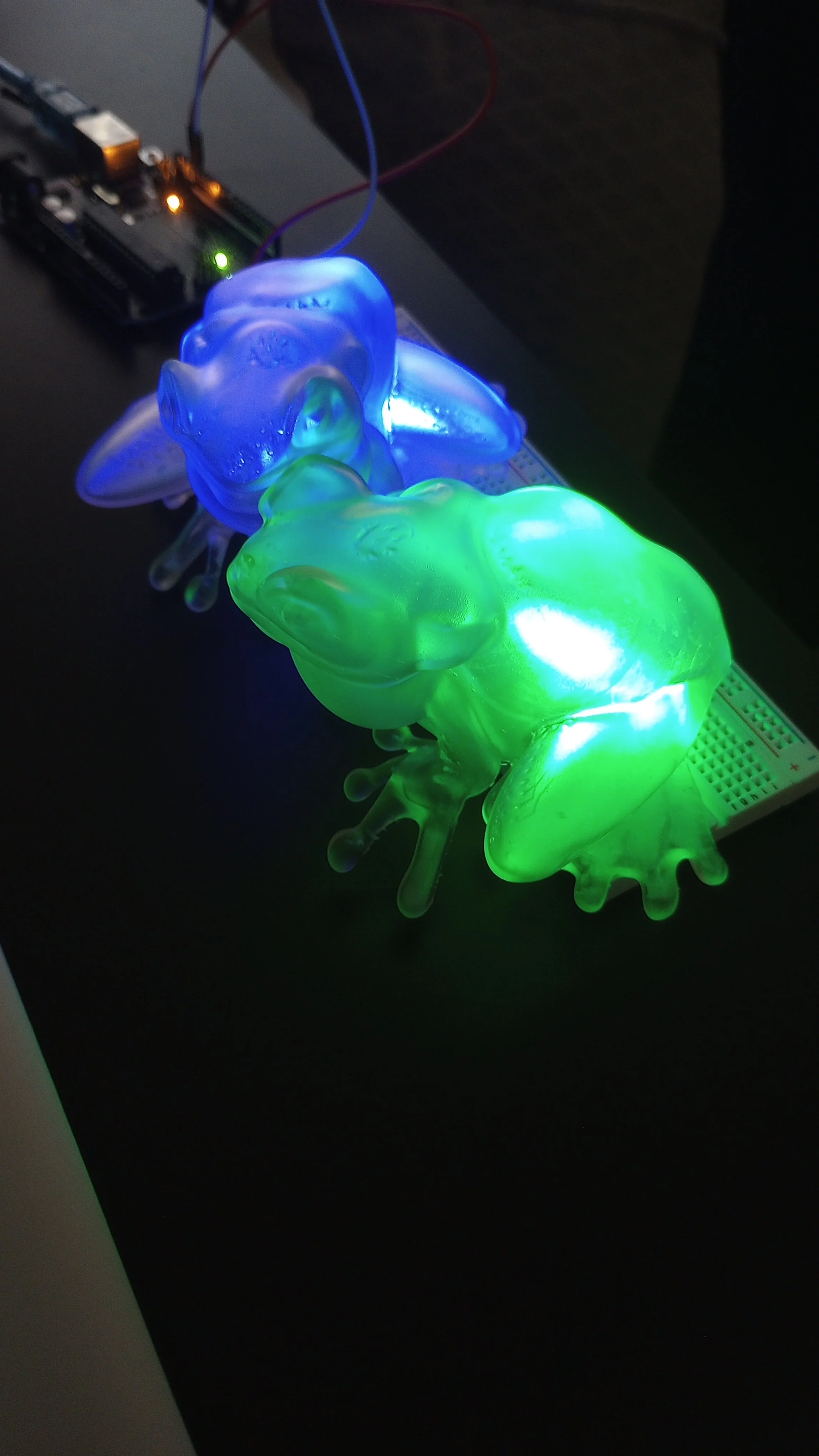 Glowing Frogs 2.jpg