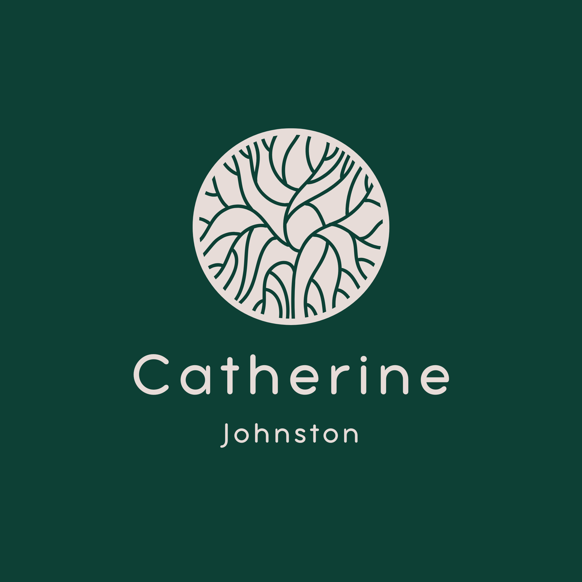 Close-up of a book cover titled 'Catherine Johnston' featuring a geometric illustration of a brain in a circle.