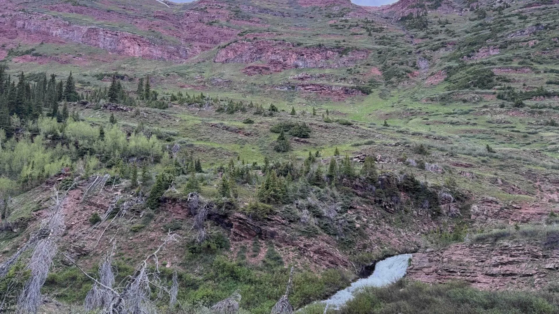 Mountain landscape with green trees, rocky slopes, and a stream at the bottom.